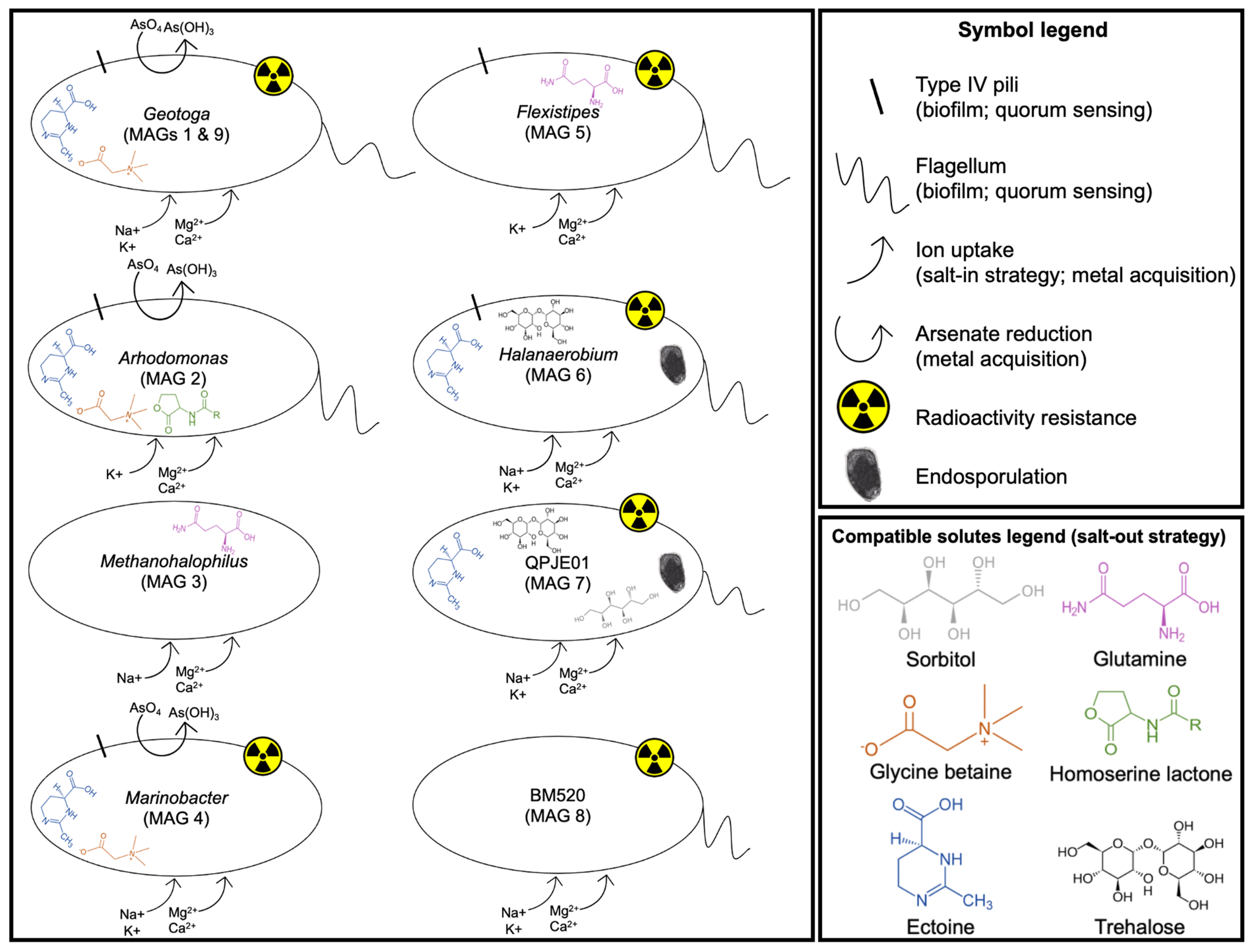 Microorganisms 09 02266 g005