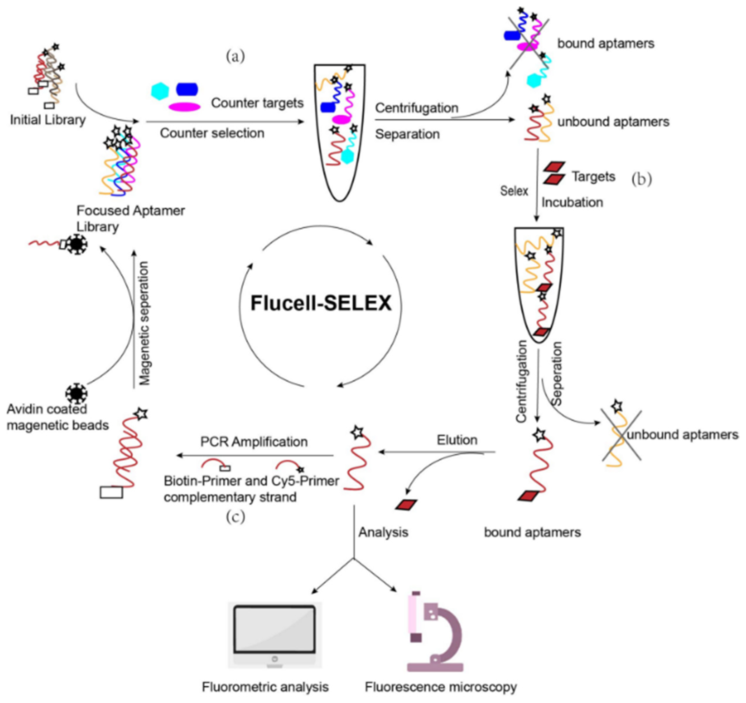 Microorganisms 09 02284 g001
