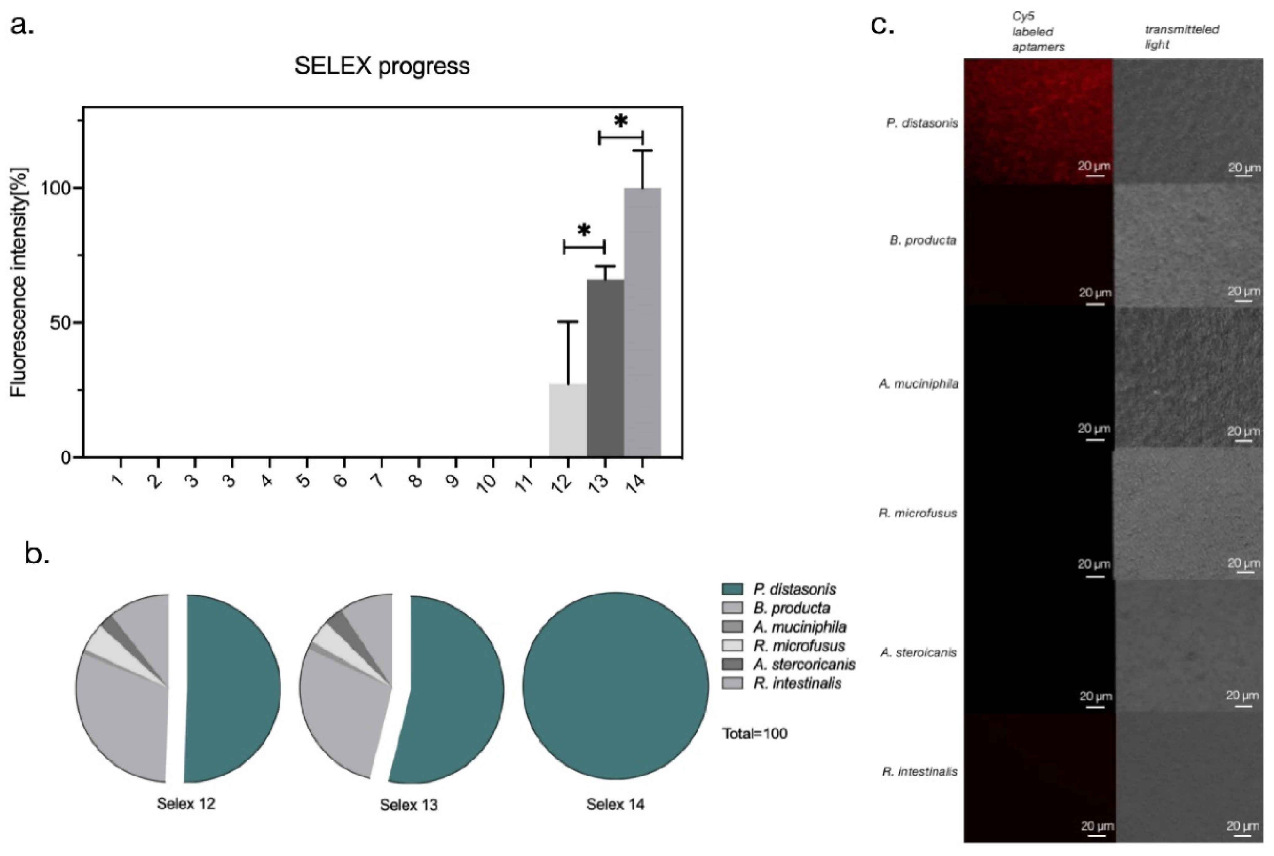 Microorganisms 09 02284 g002