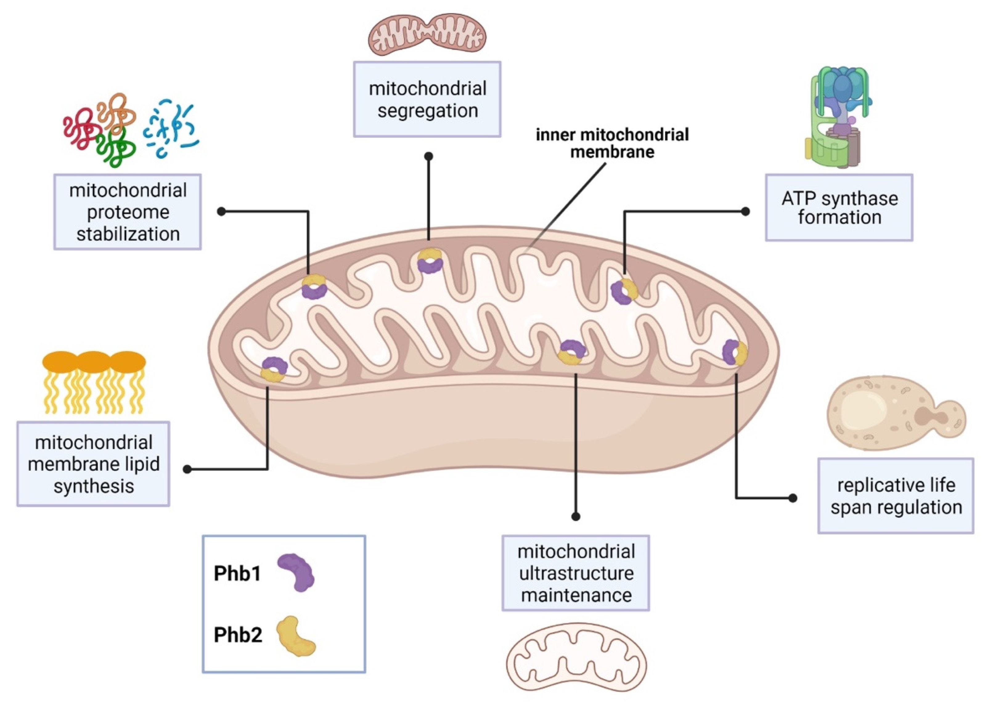 Microorganisms 09 02287 g001