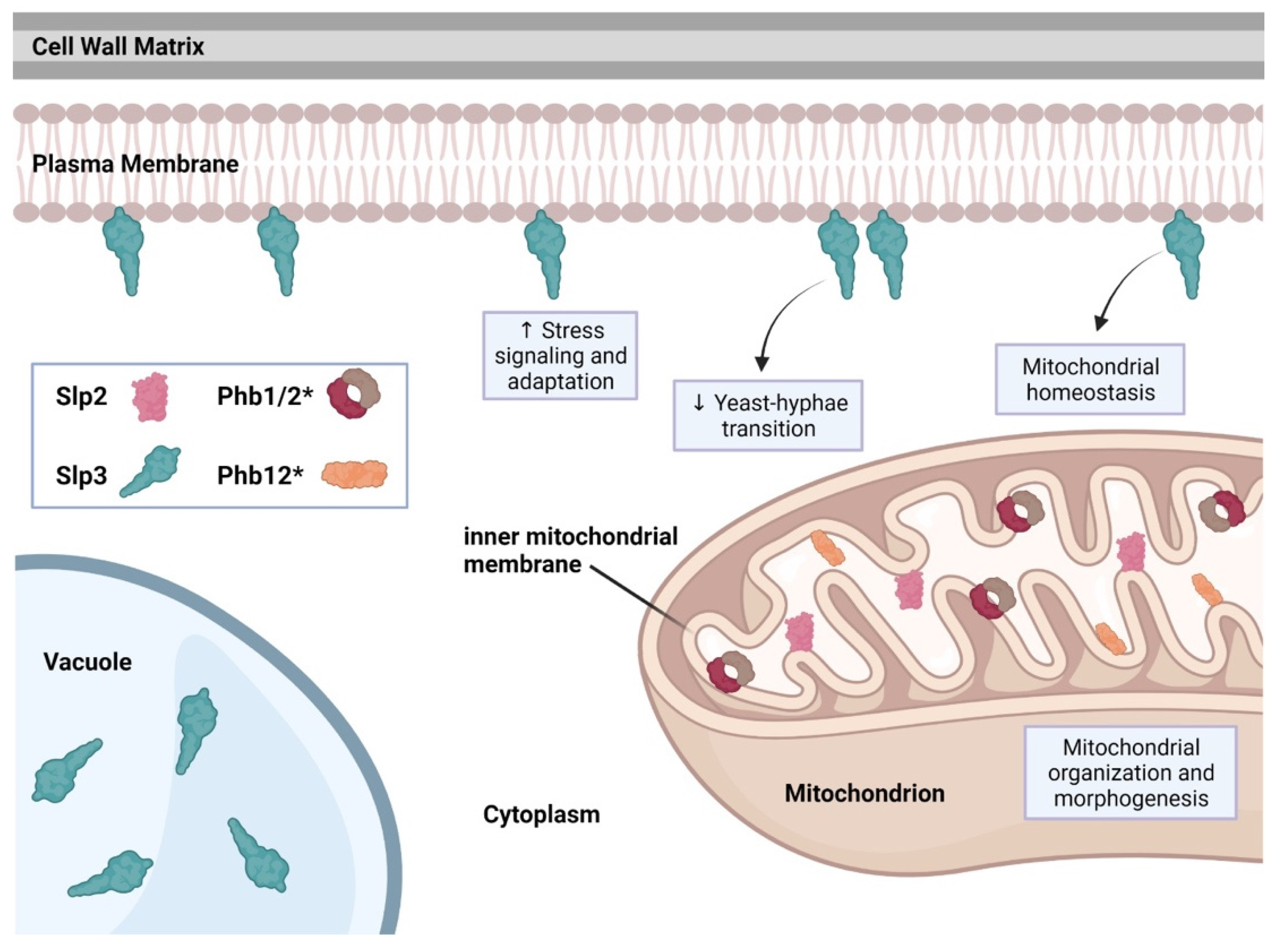 Microorganisms 09 02287 g002