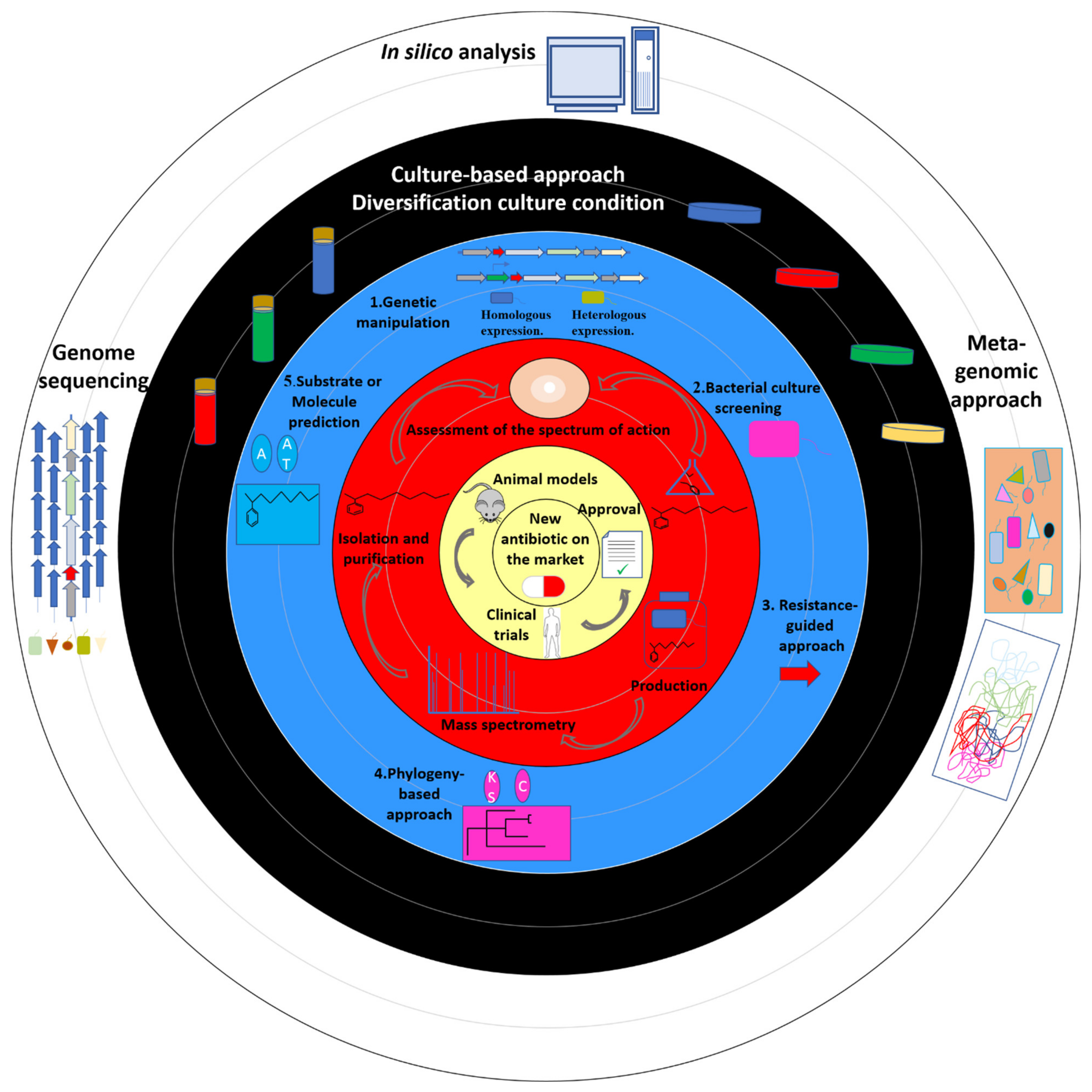 Microorganisms 09 02297 g002