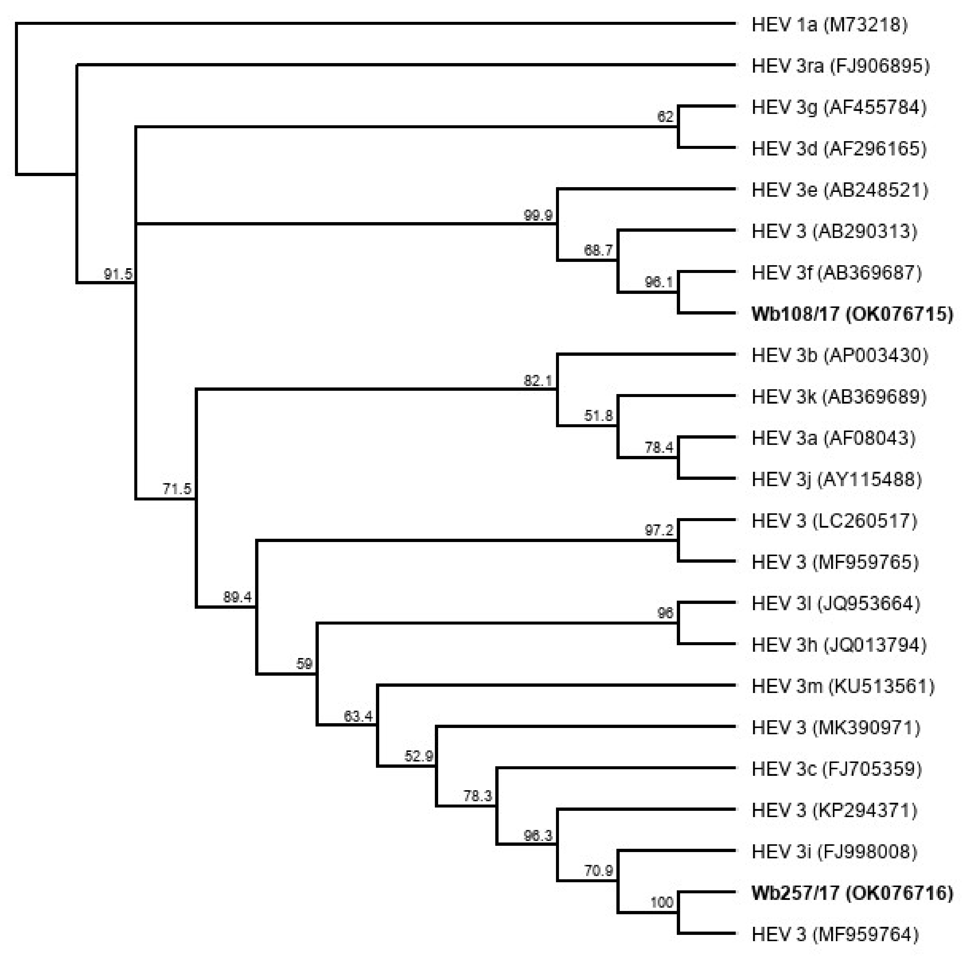 Microorganisms 09 02302 g006