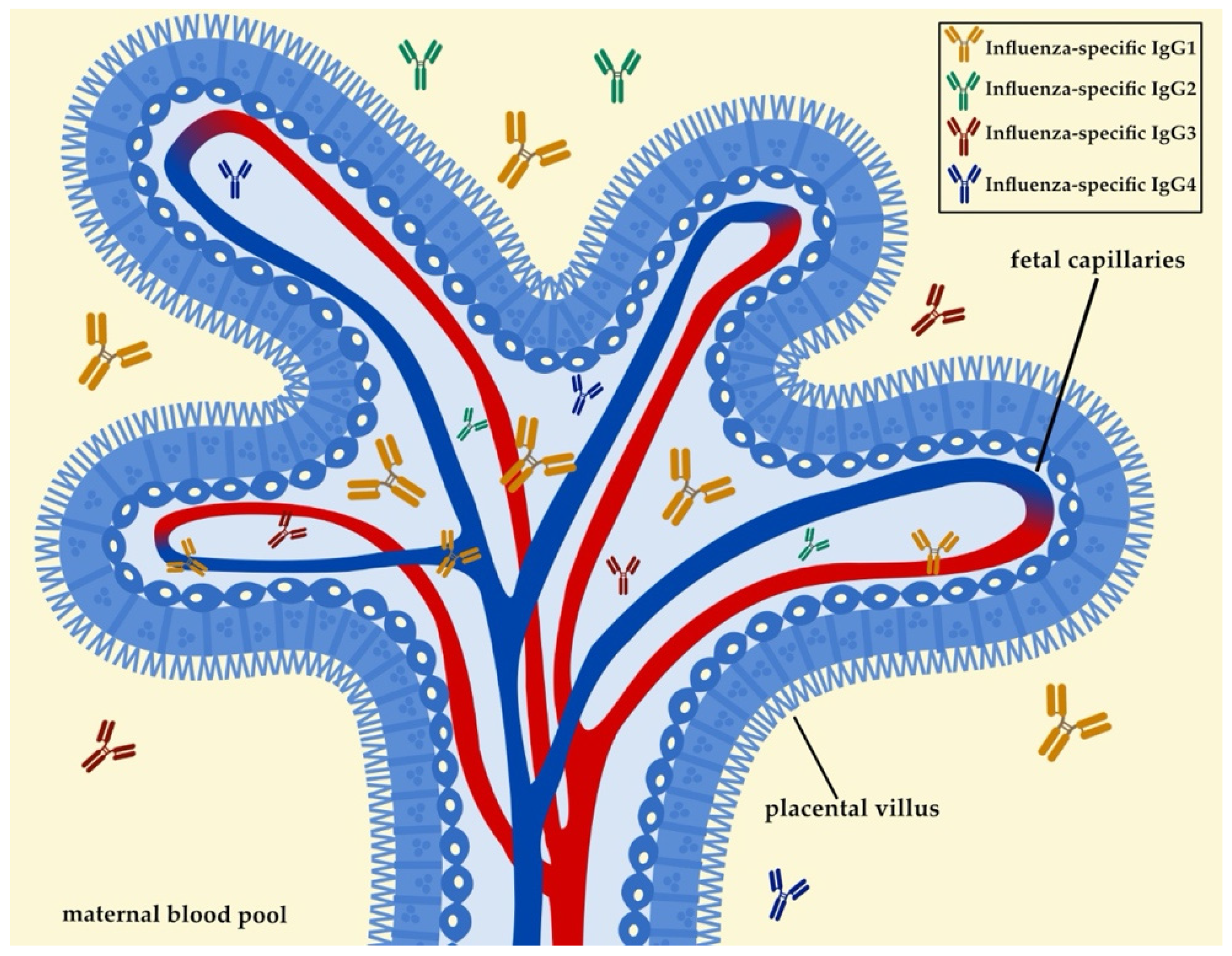 Microorganisms 09 02305 g001 Microorganisms 09 02305 g001