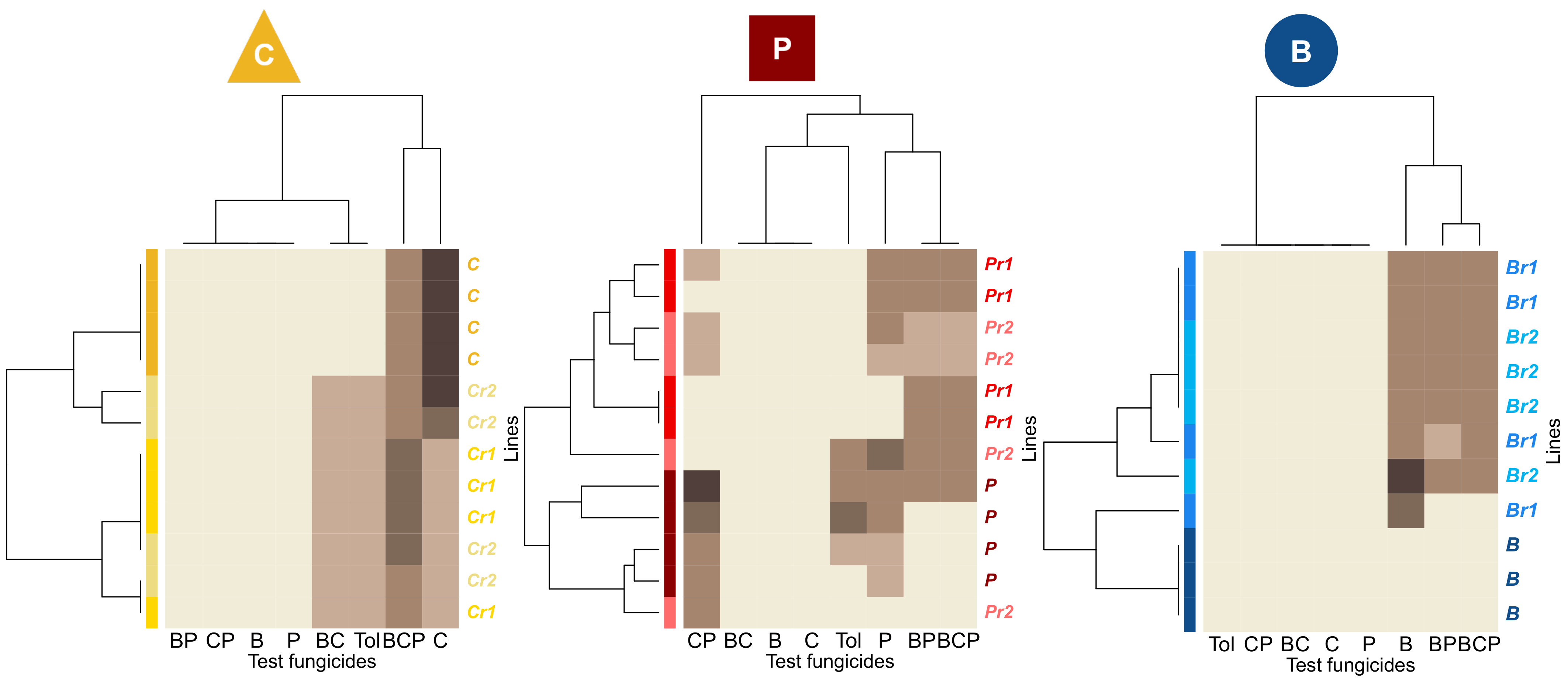 Microorganisms 09 02324 g004