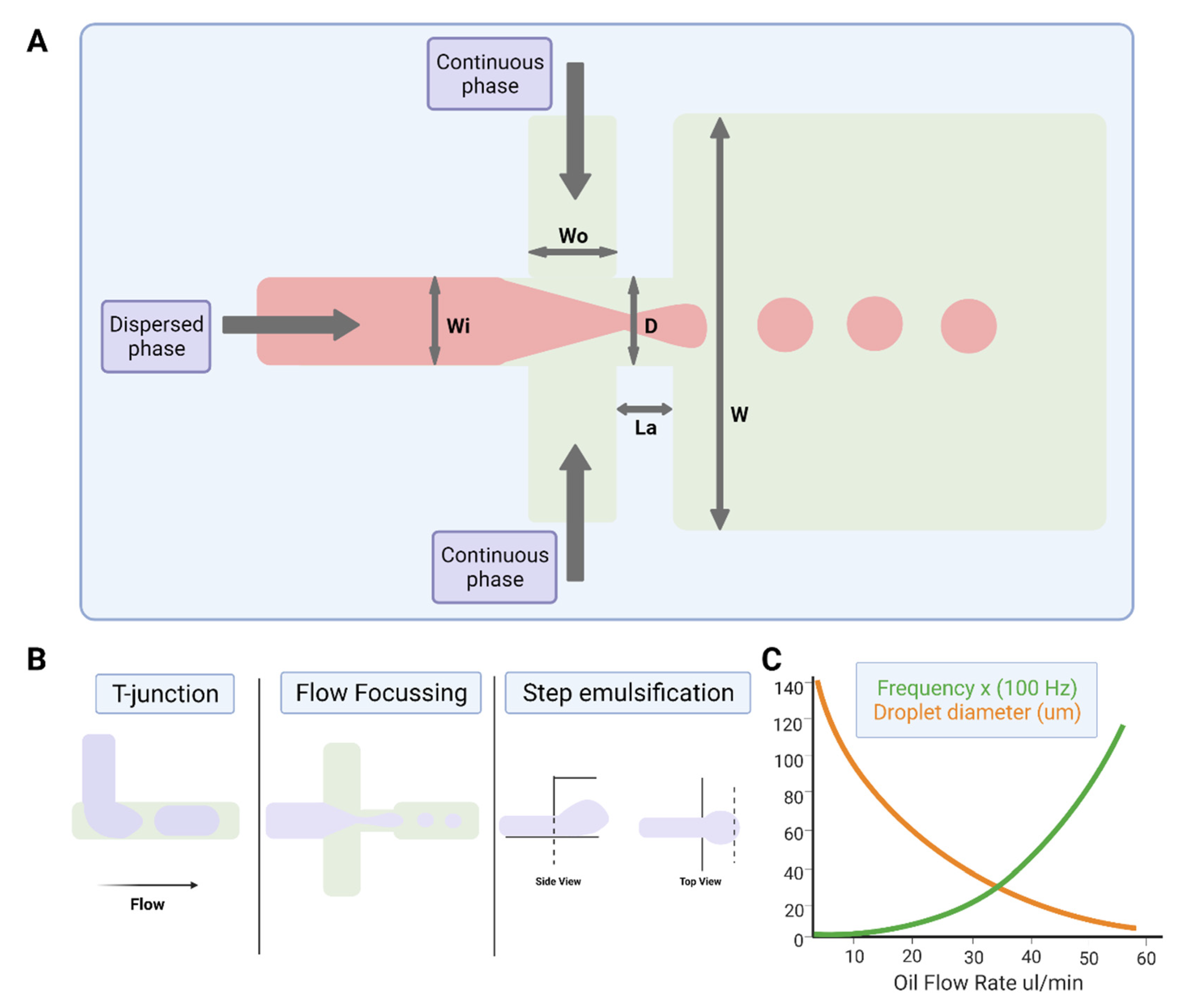 Microorganisms 09 02330 g002