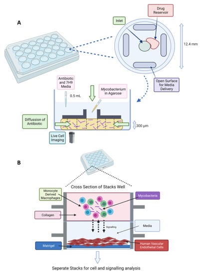 Microorganisms 09 02330 g004