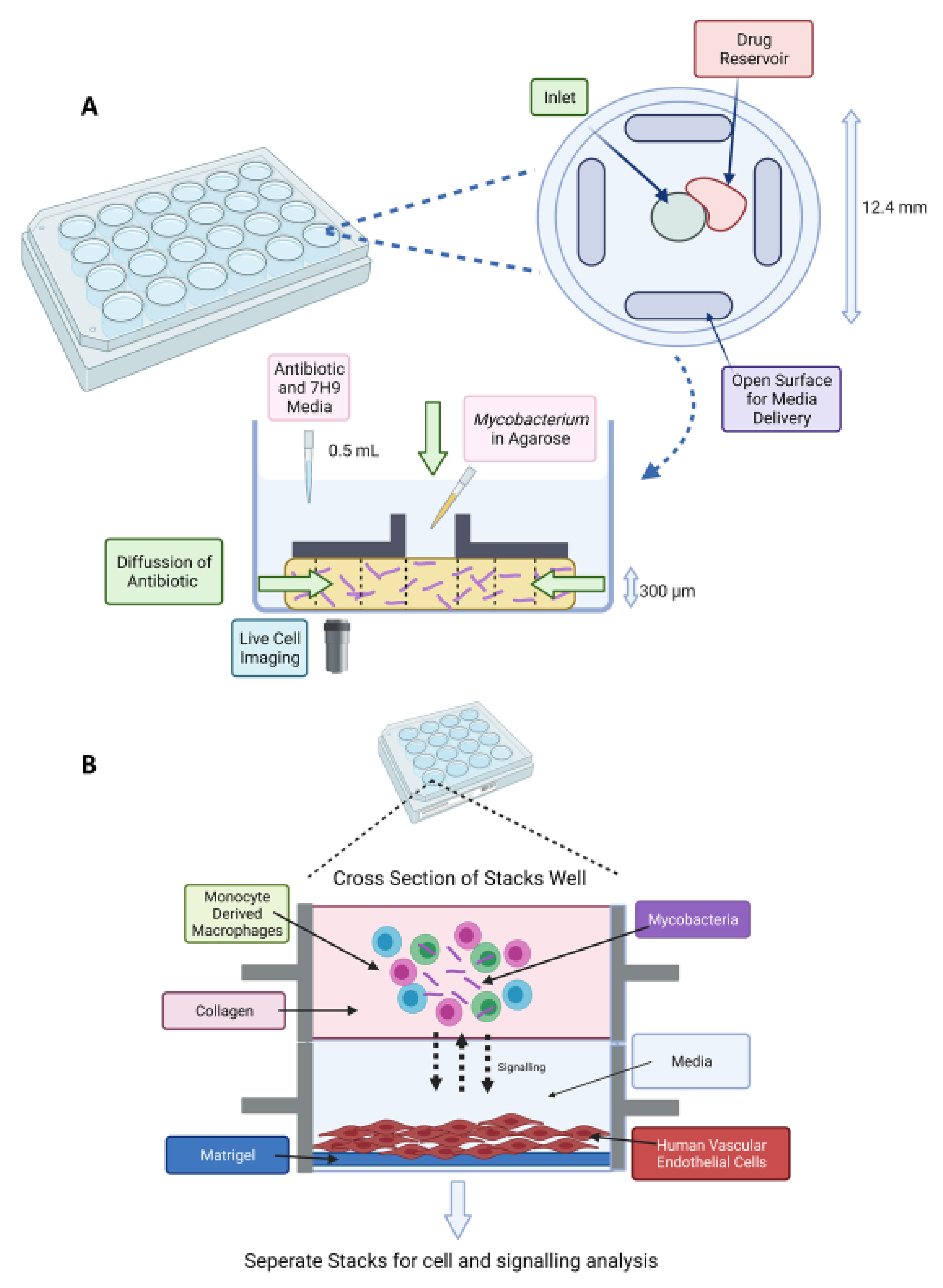 Microorganisms 09 02330 g004
