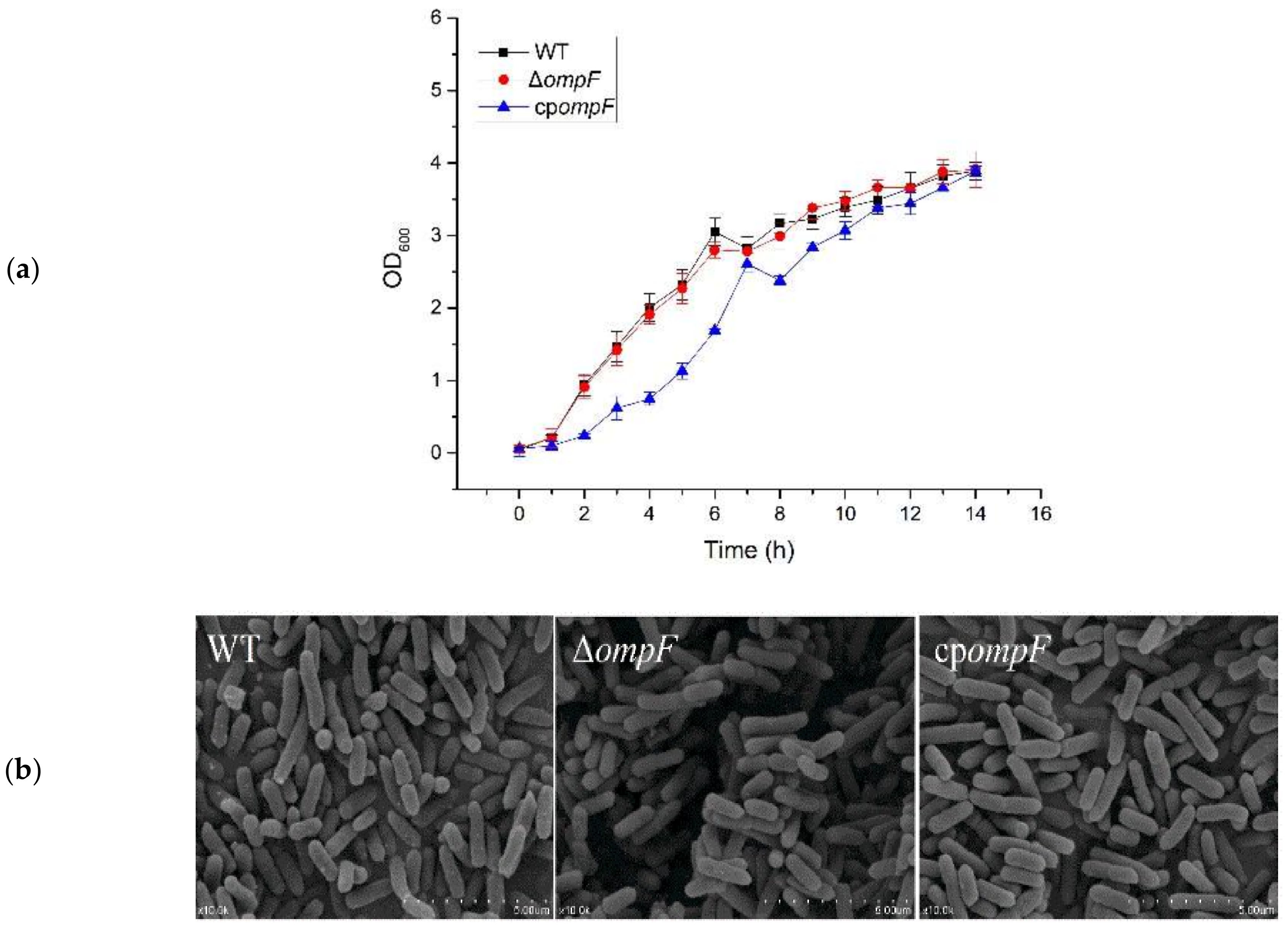 Microorganisms 09 02338 g002