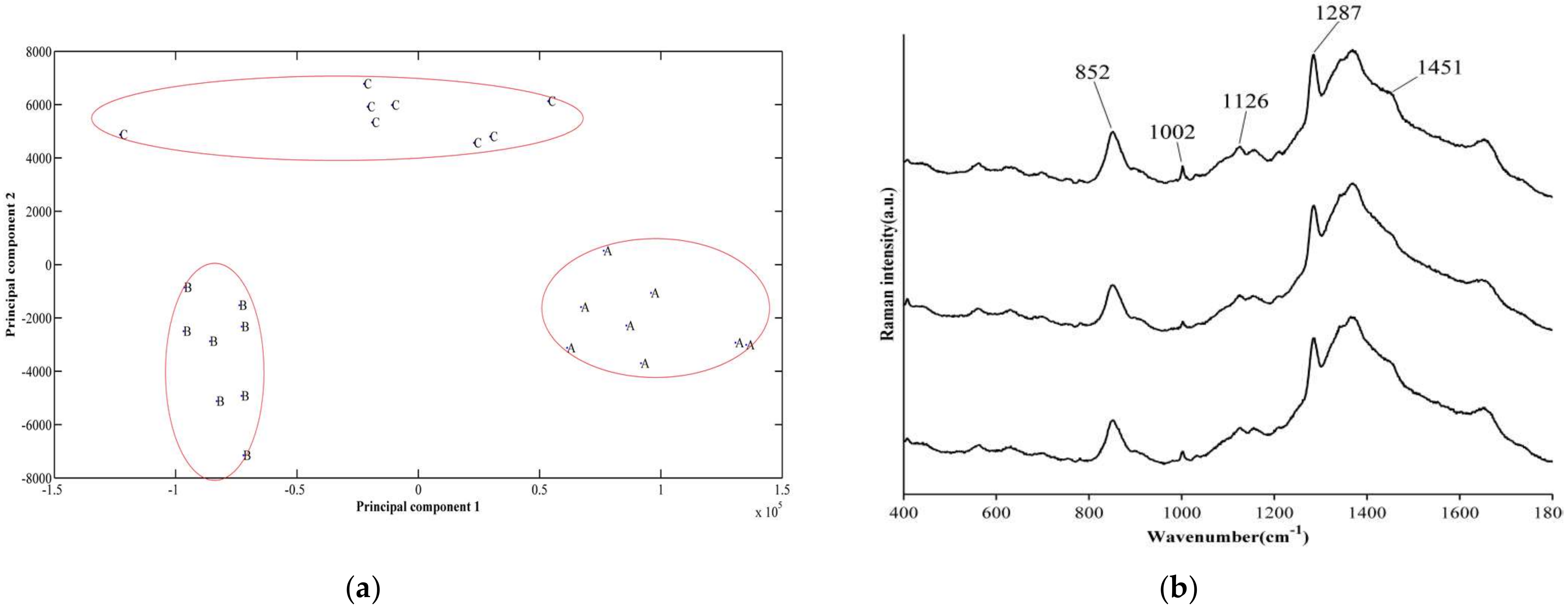 Microorganisms 09 02338 g004