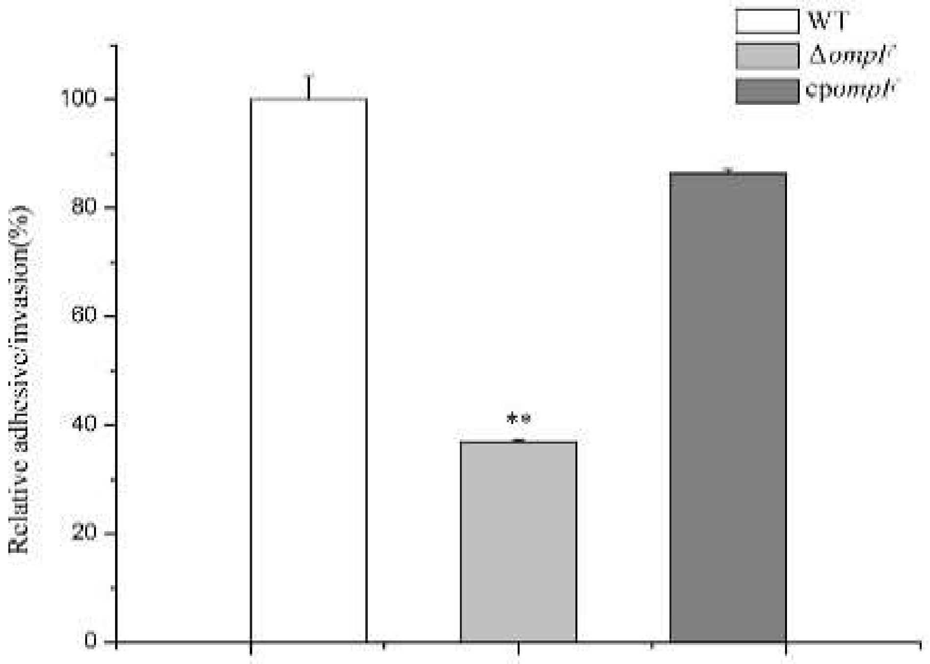 Microorganisms 09 02338 g006