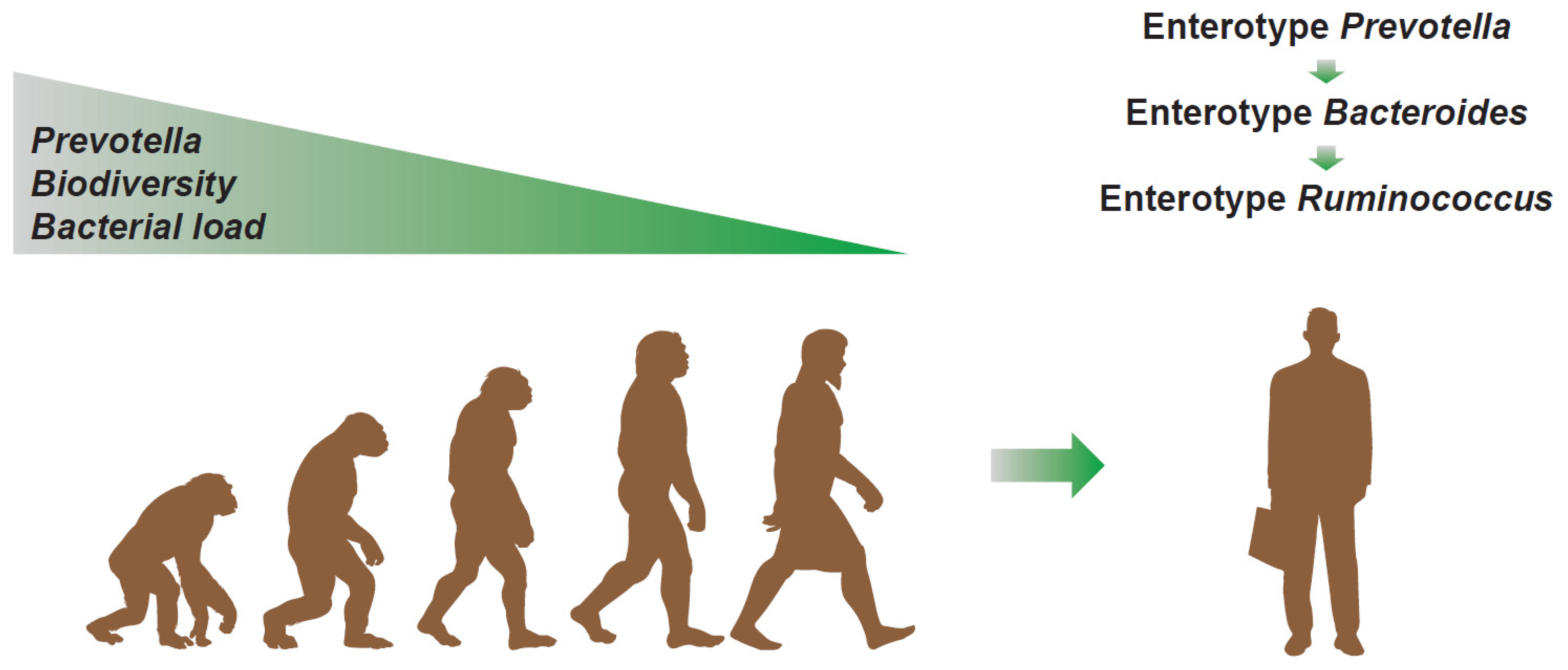 Microorganisms 09 02341 g005