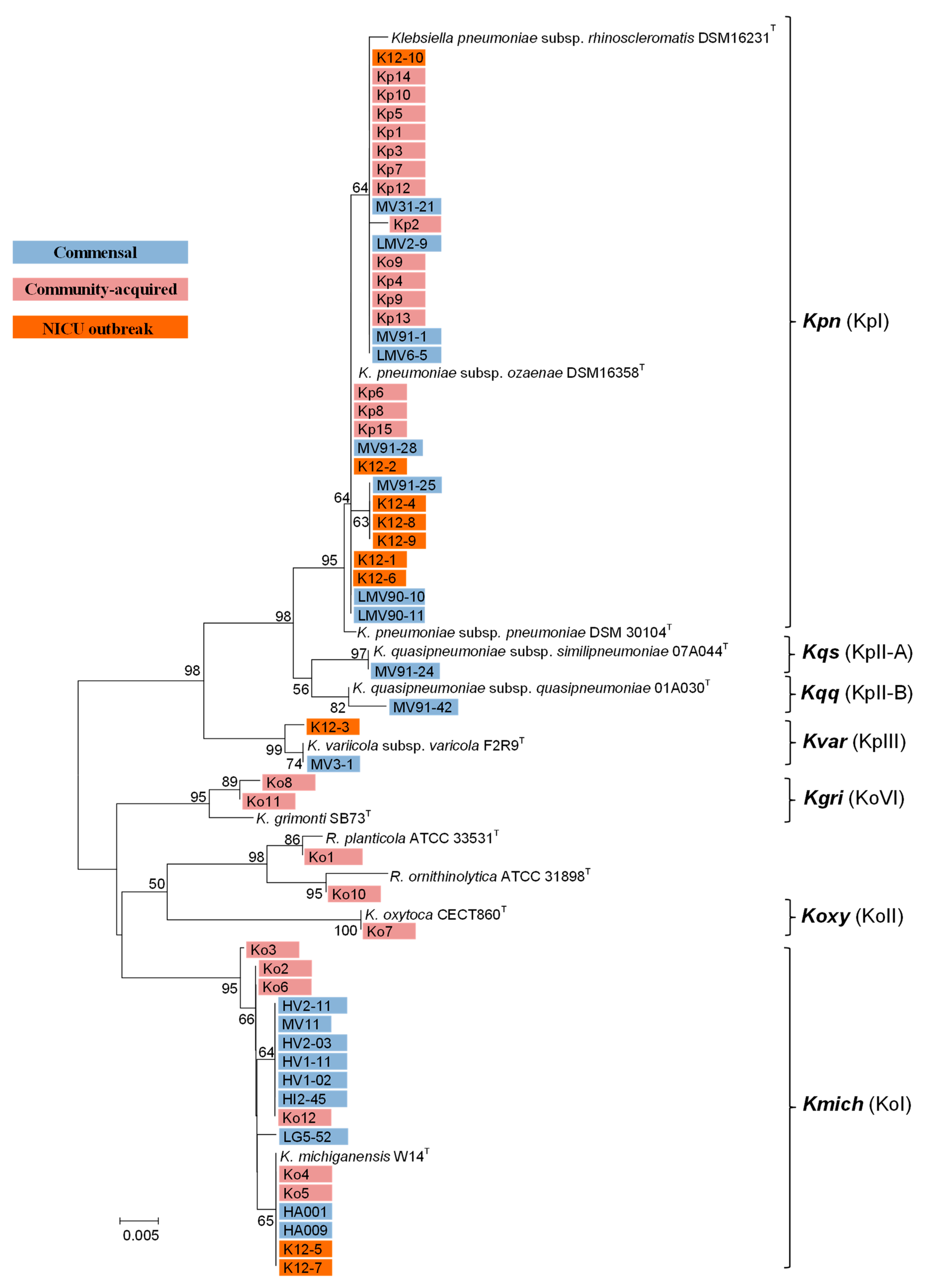 Microorganisms 09 02344 g001 Microorganisms 09 02344 g001