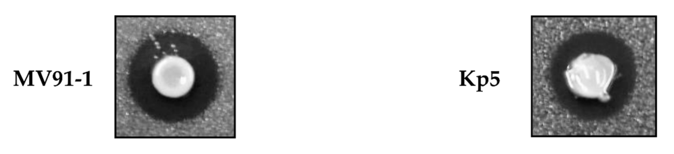 Microorganisms 09 02344 g004 Microorganisms 09 02344 g004