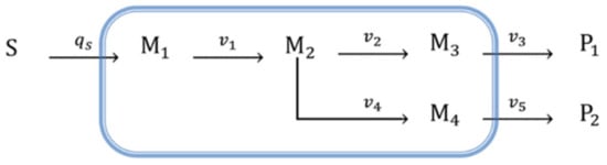 Microorganisms 09 02352 g0a1