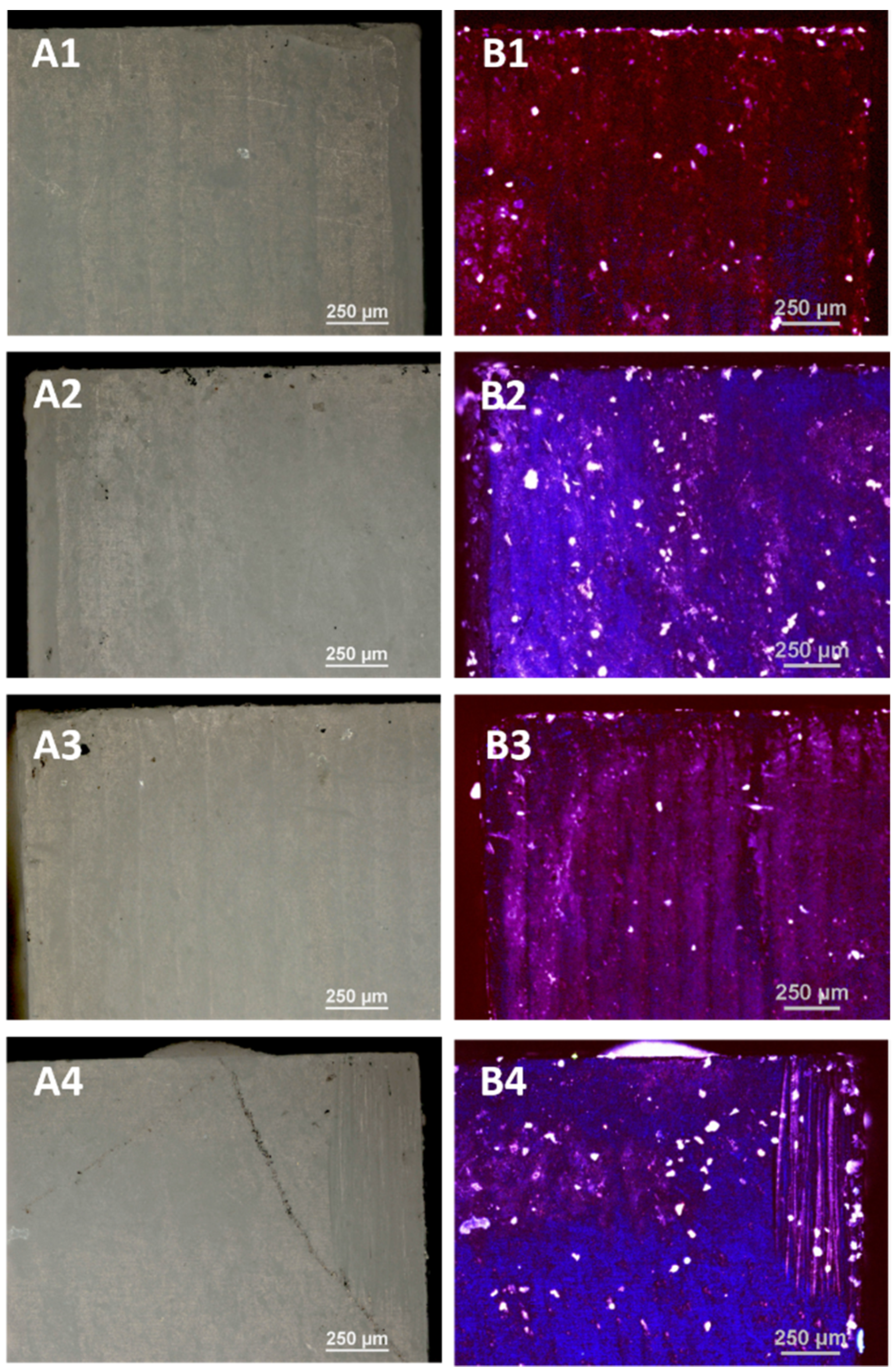 Microorganisms 09 02359 g002