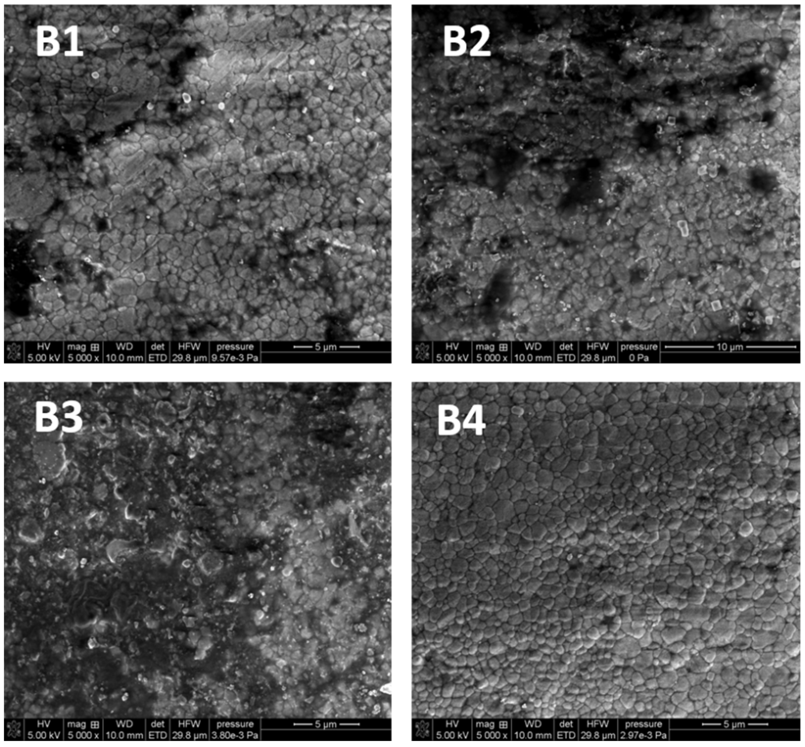 Microorganisms 09 02359 g004