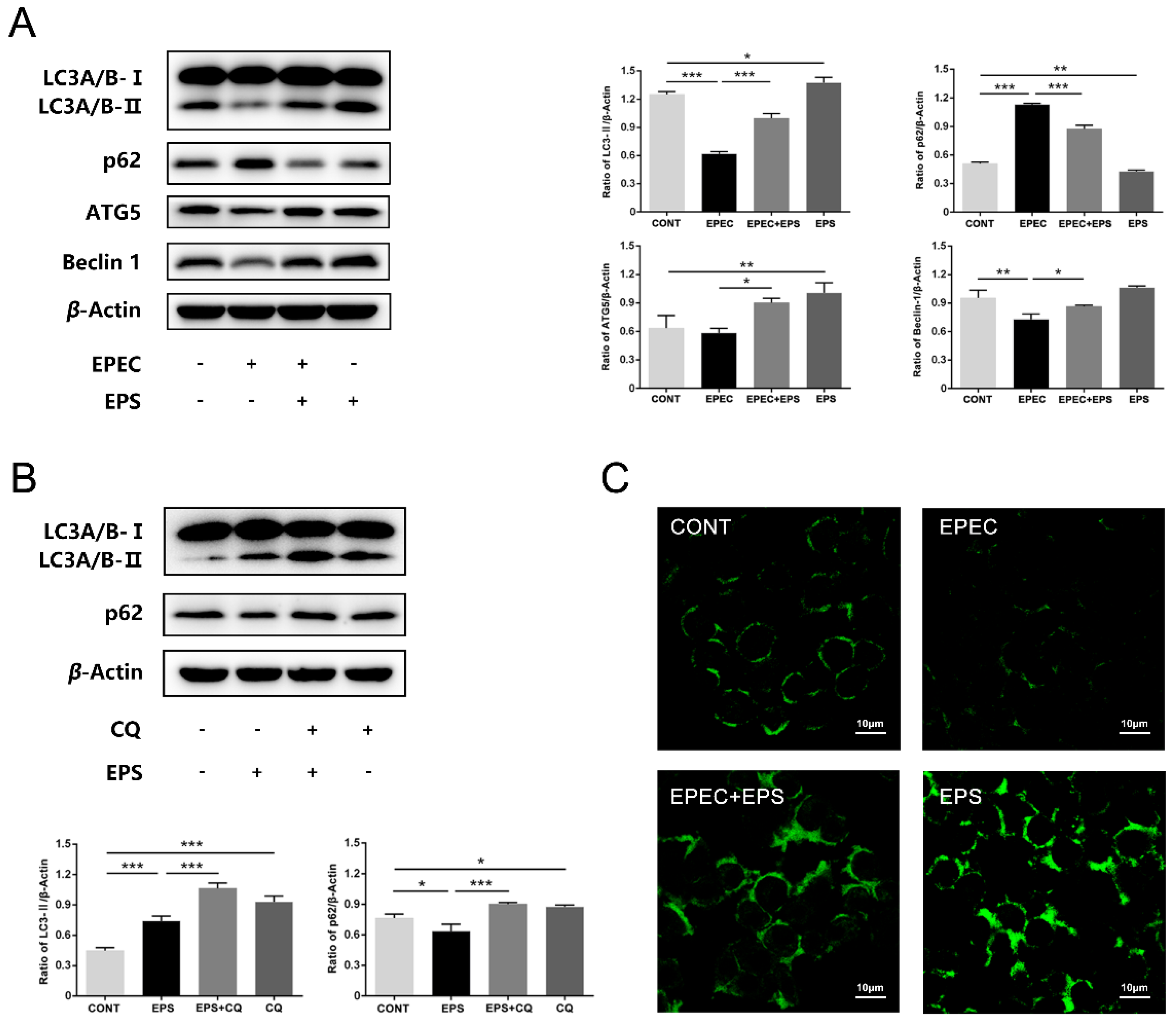 Microorganisms 09 02363 g003 Microorganisms 09 02363 g003