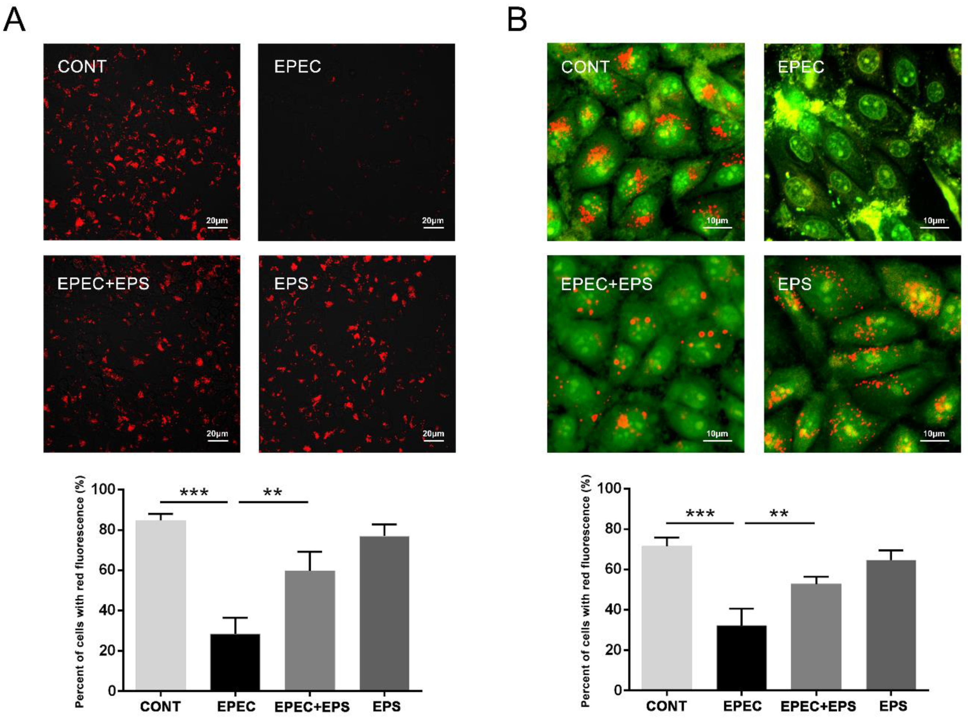 Microorganisms 09 02363 g004 Microorganisms 09 02363 g004