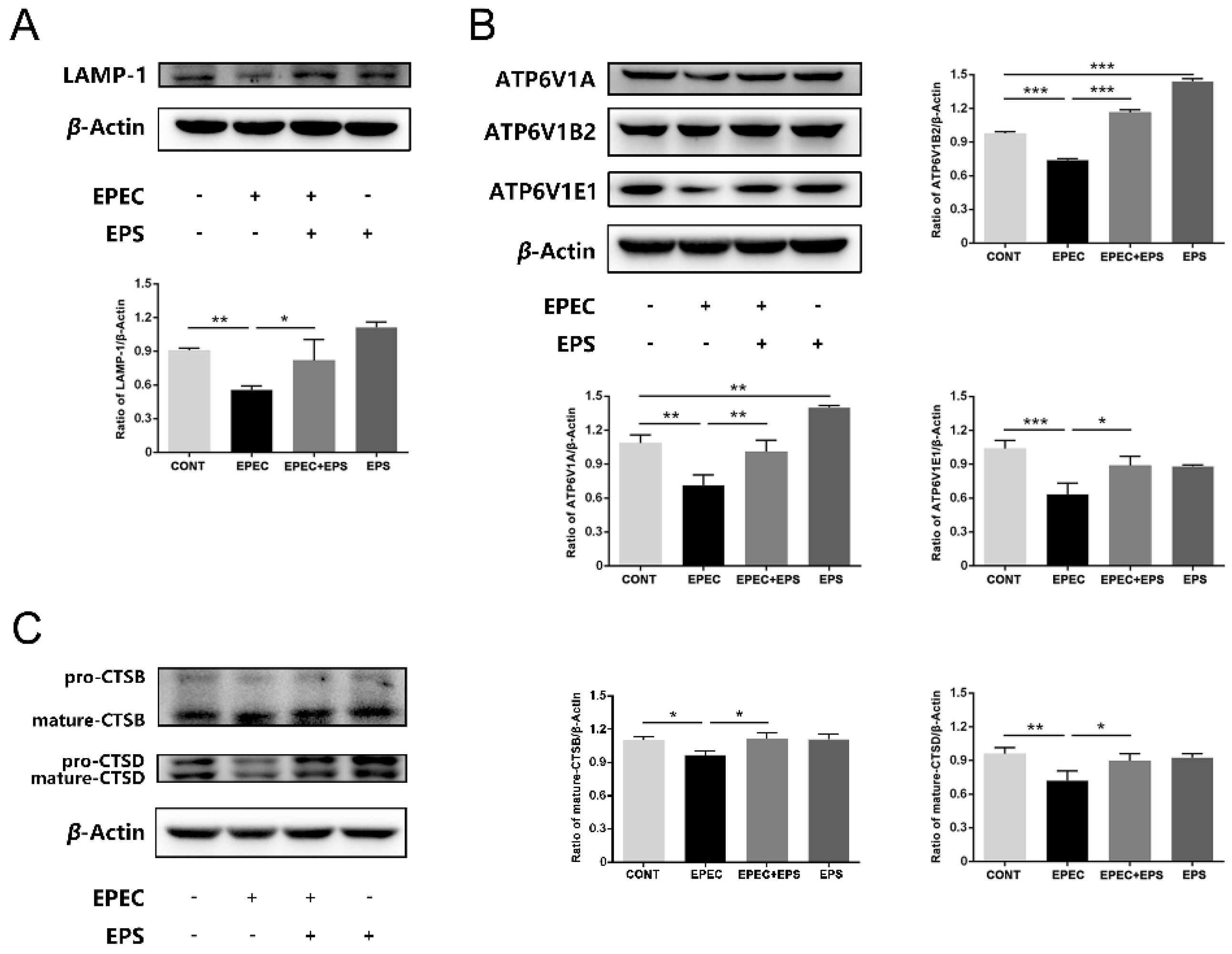 Microorganisms 09 02363 g005 Microorganisms 09 02363 g005