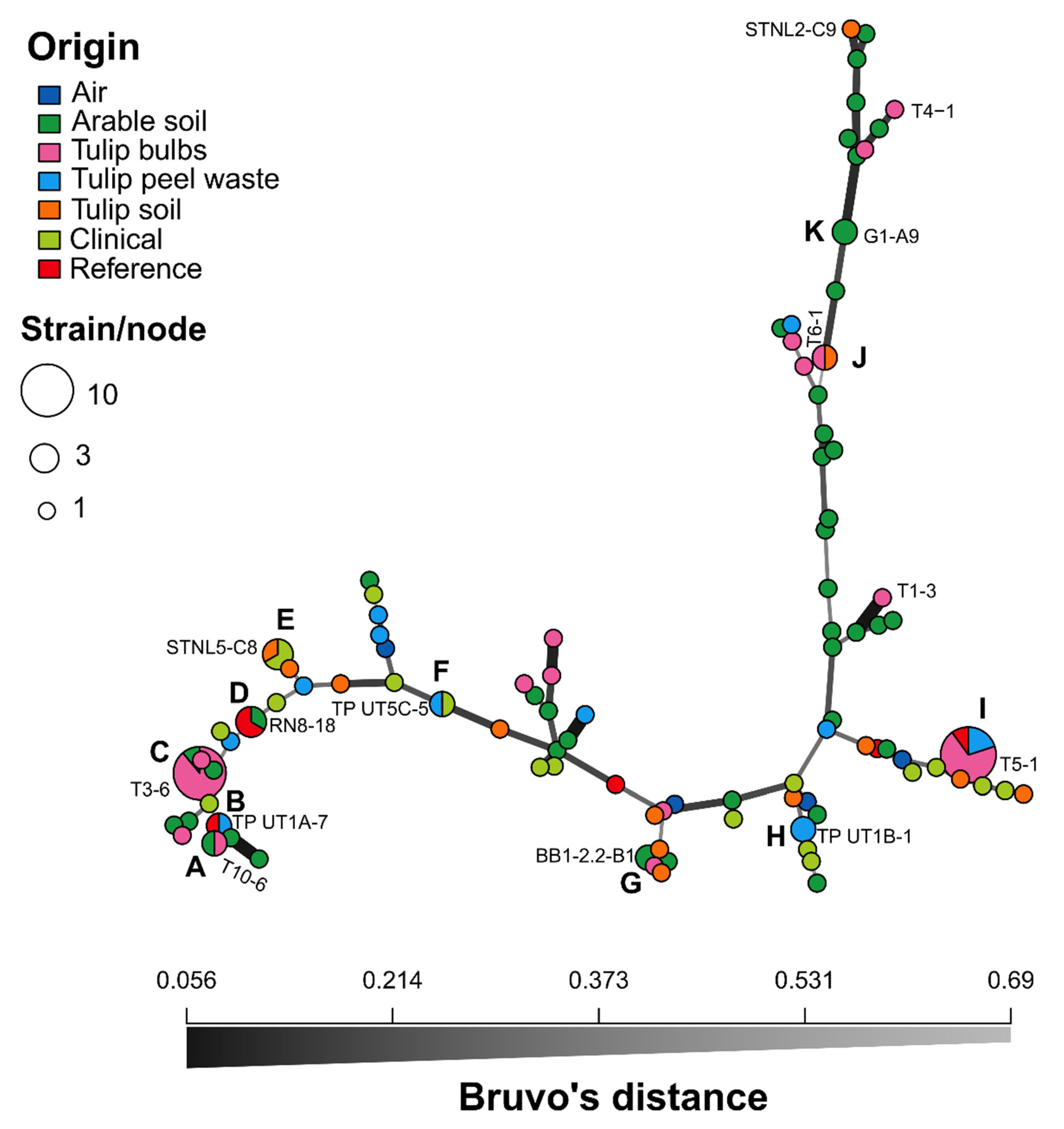 Microorganisms 09 02379 g003