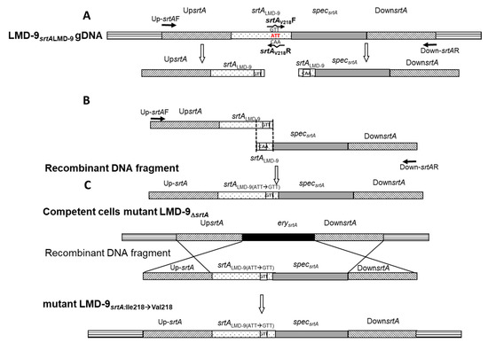Microorganisms 09 02380 g0a1