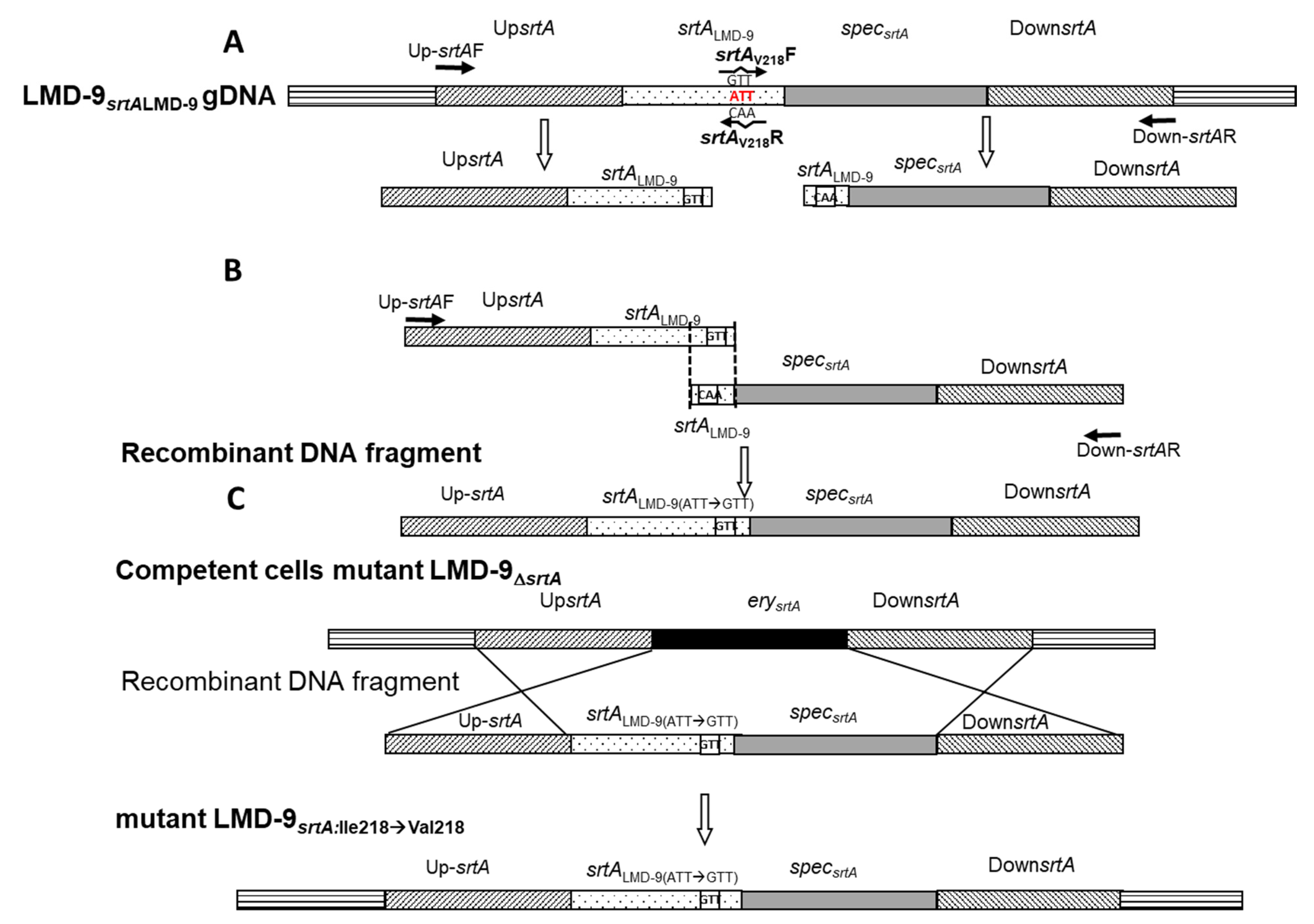 Microorganisms 09 02380 g0a1