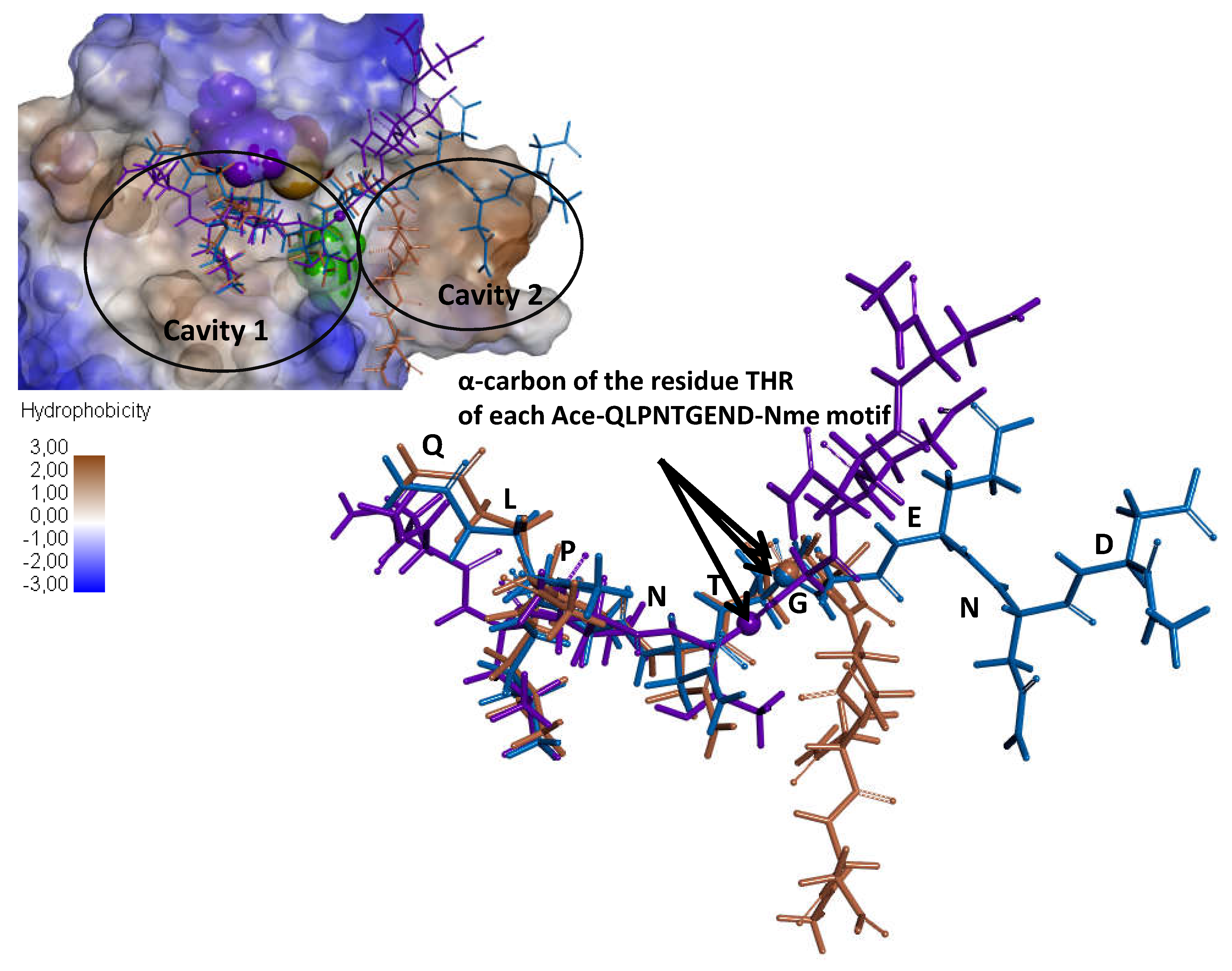 Microorganisms 09 02380 g0a3