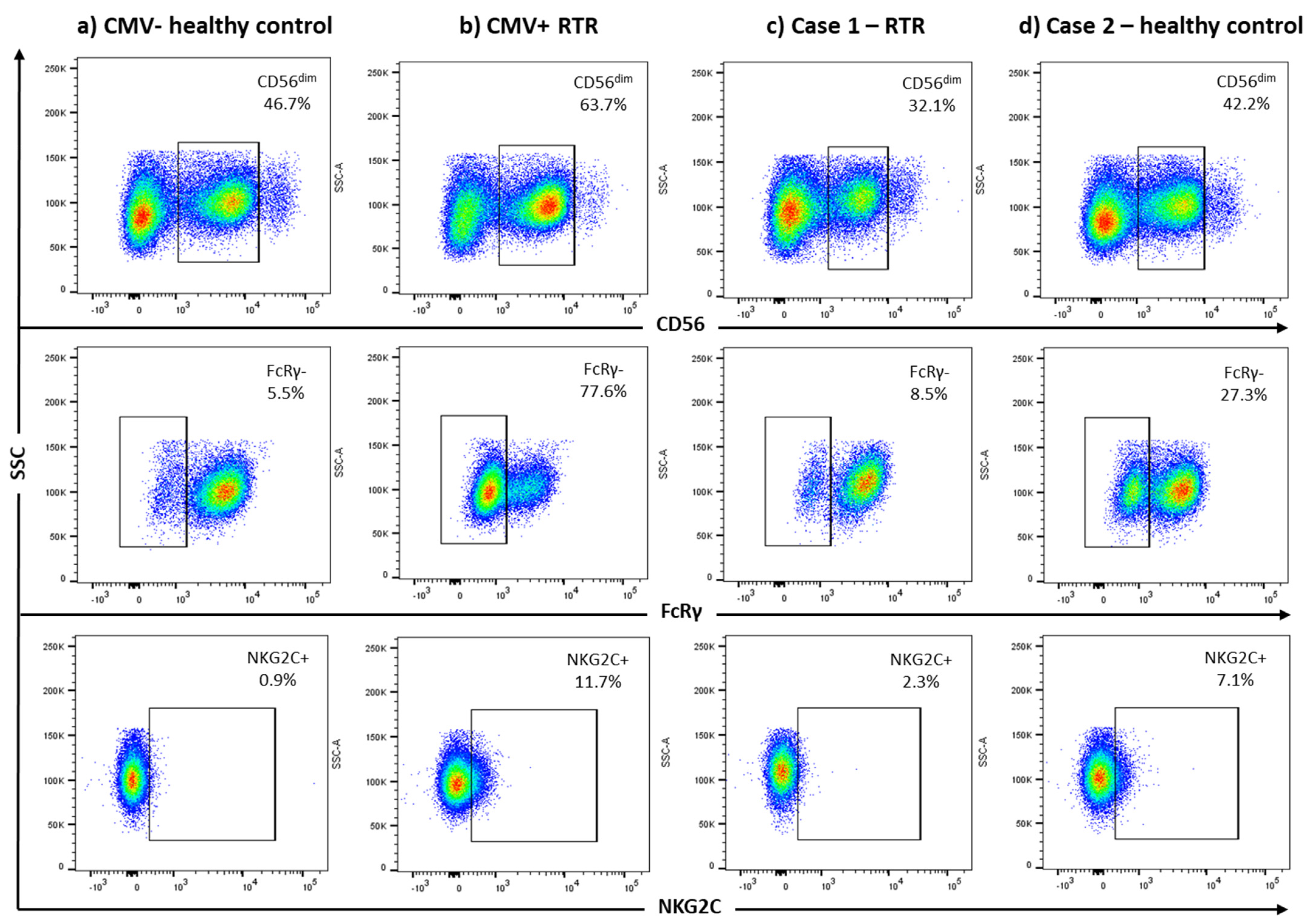 Microorganisms 09 02382 g001