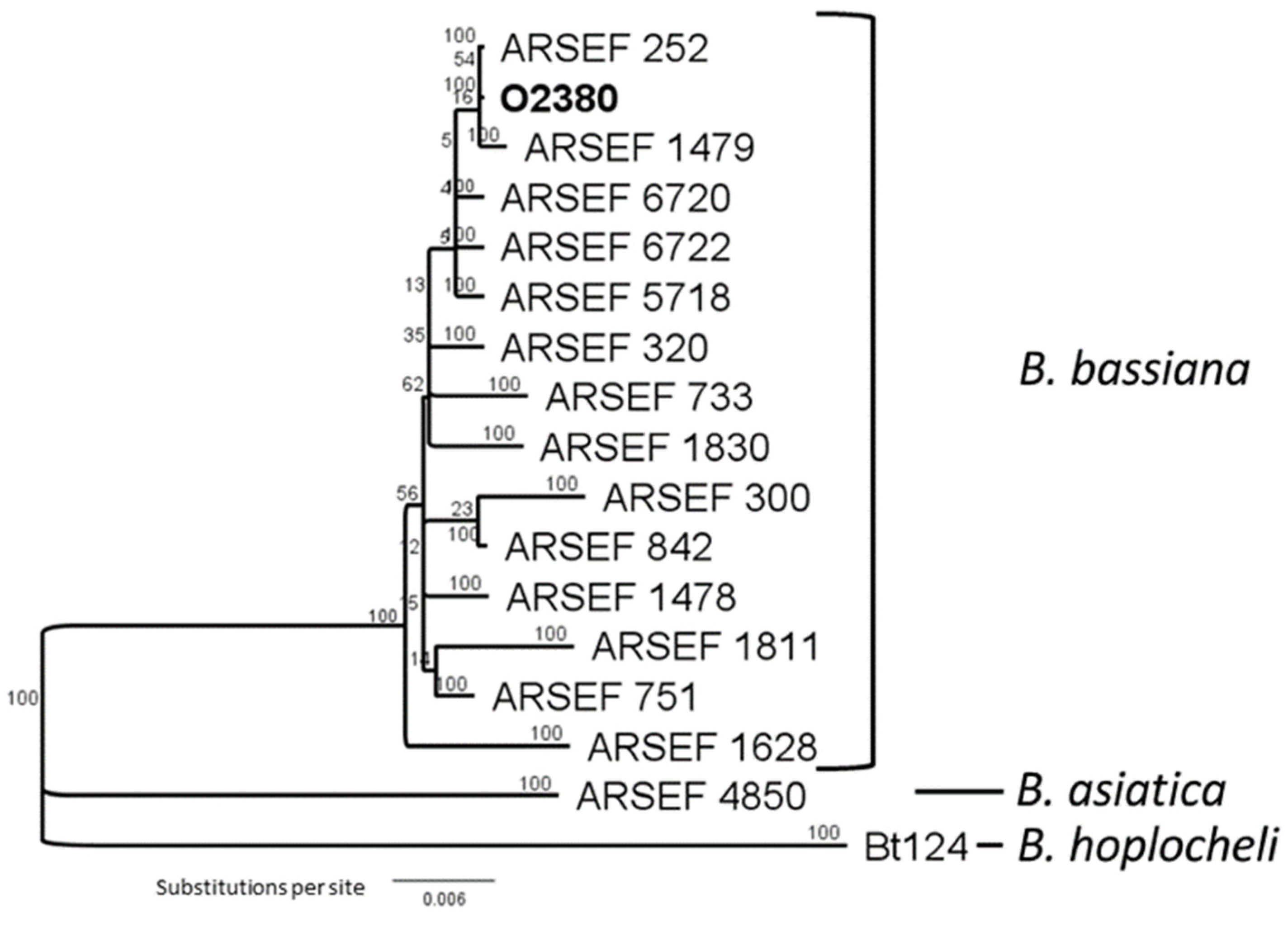 Microorganisms 09 02387 g001