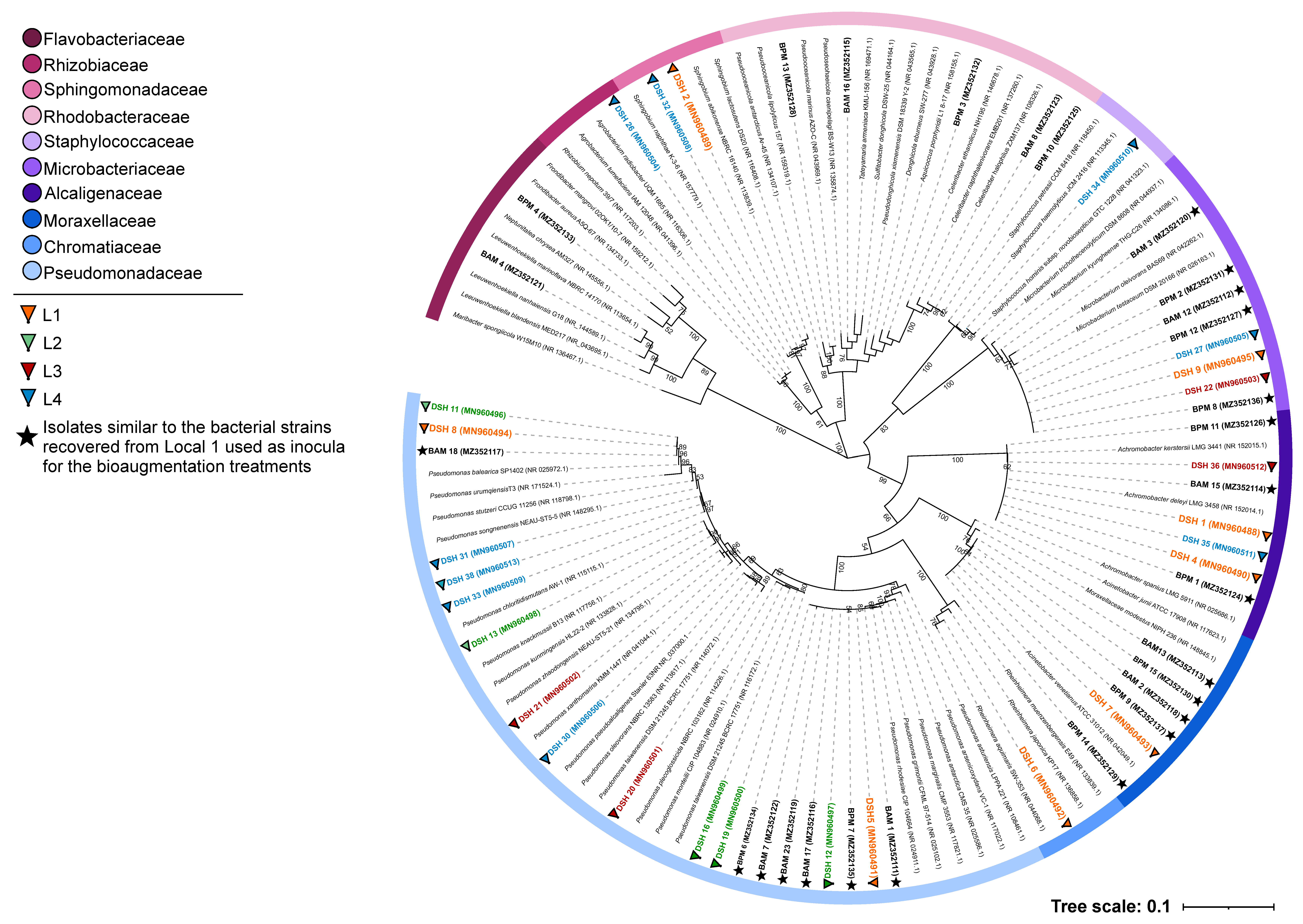 Microorganisms 09 02389 g003