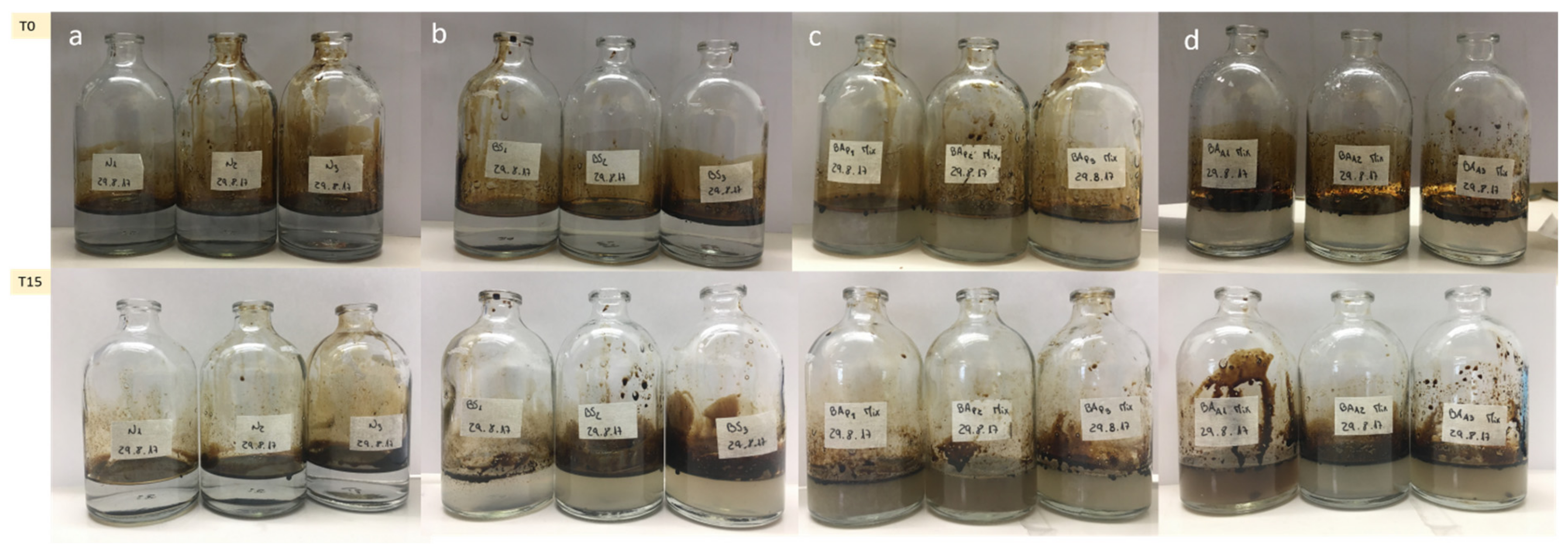 Microorganisms 09 02389 g004