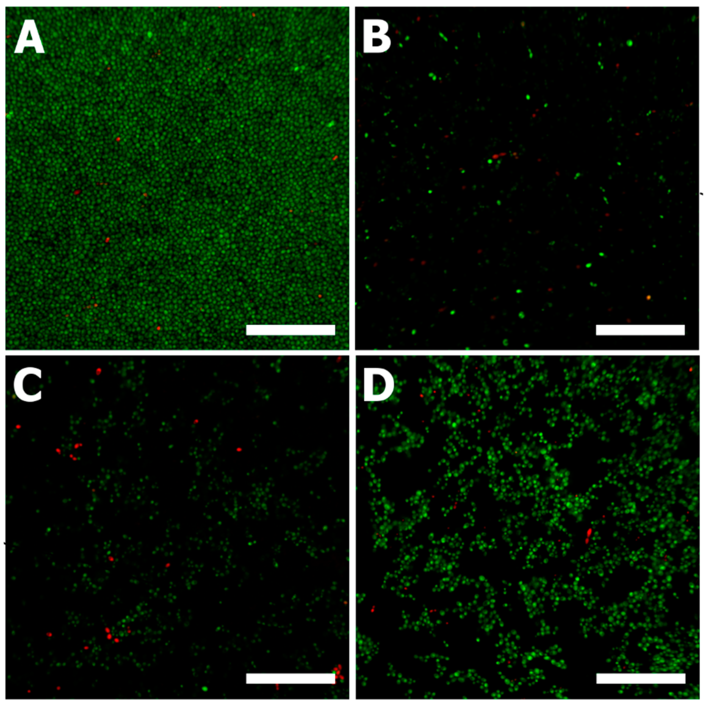 Microorganisms 09 02391 g004