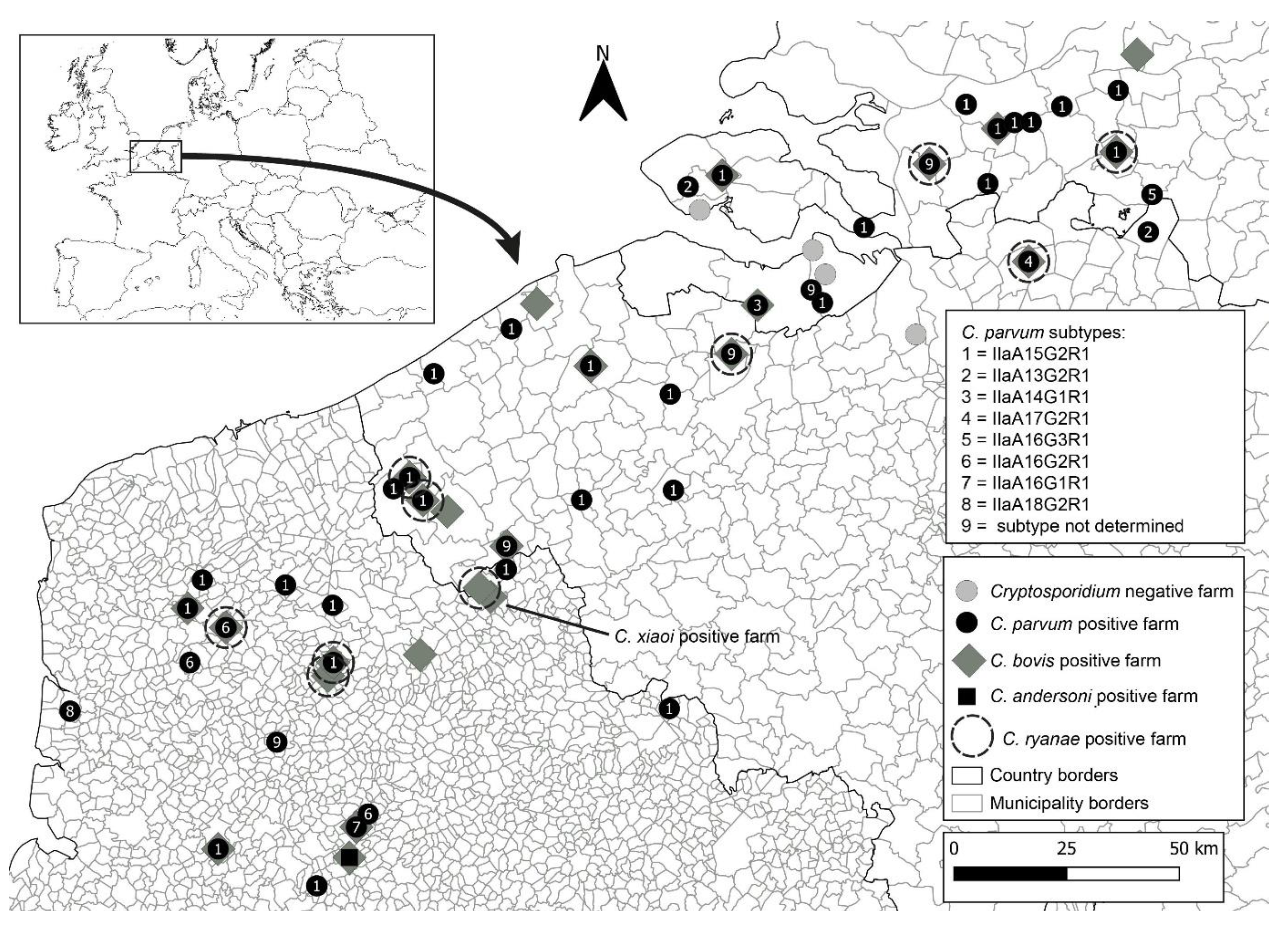 Microorganisms 09 02394 g001