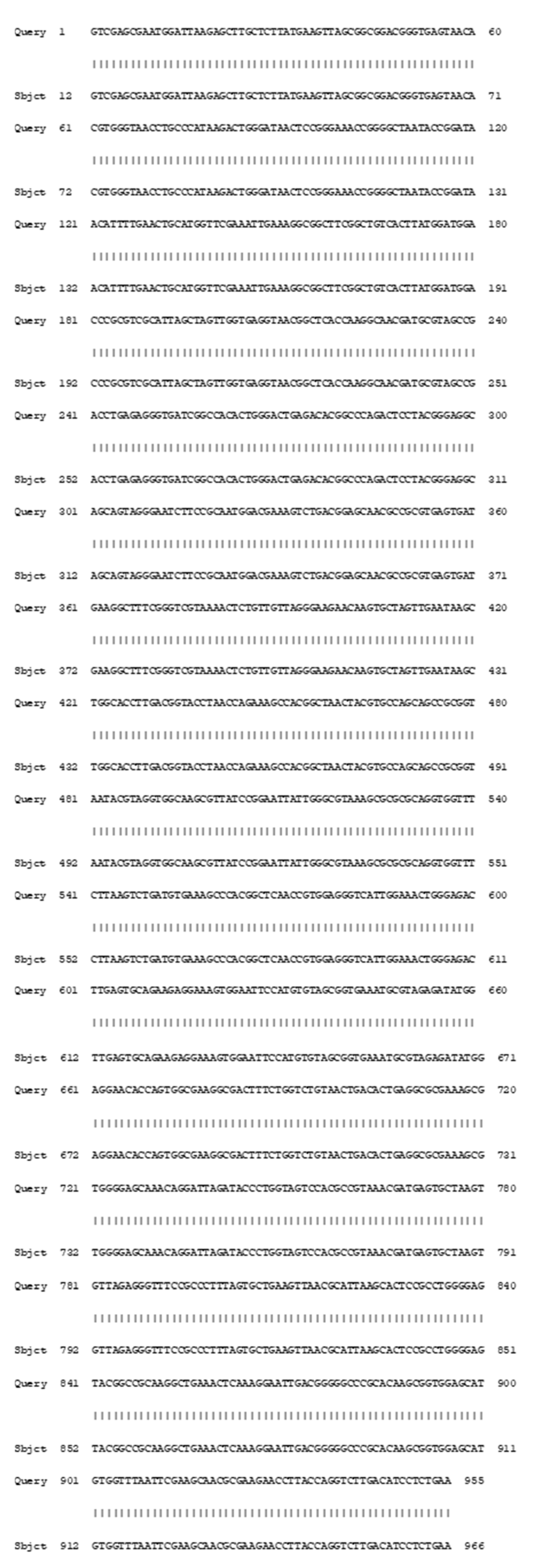 Microorganisms 09 02395 g001