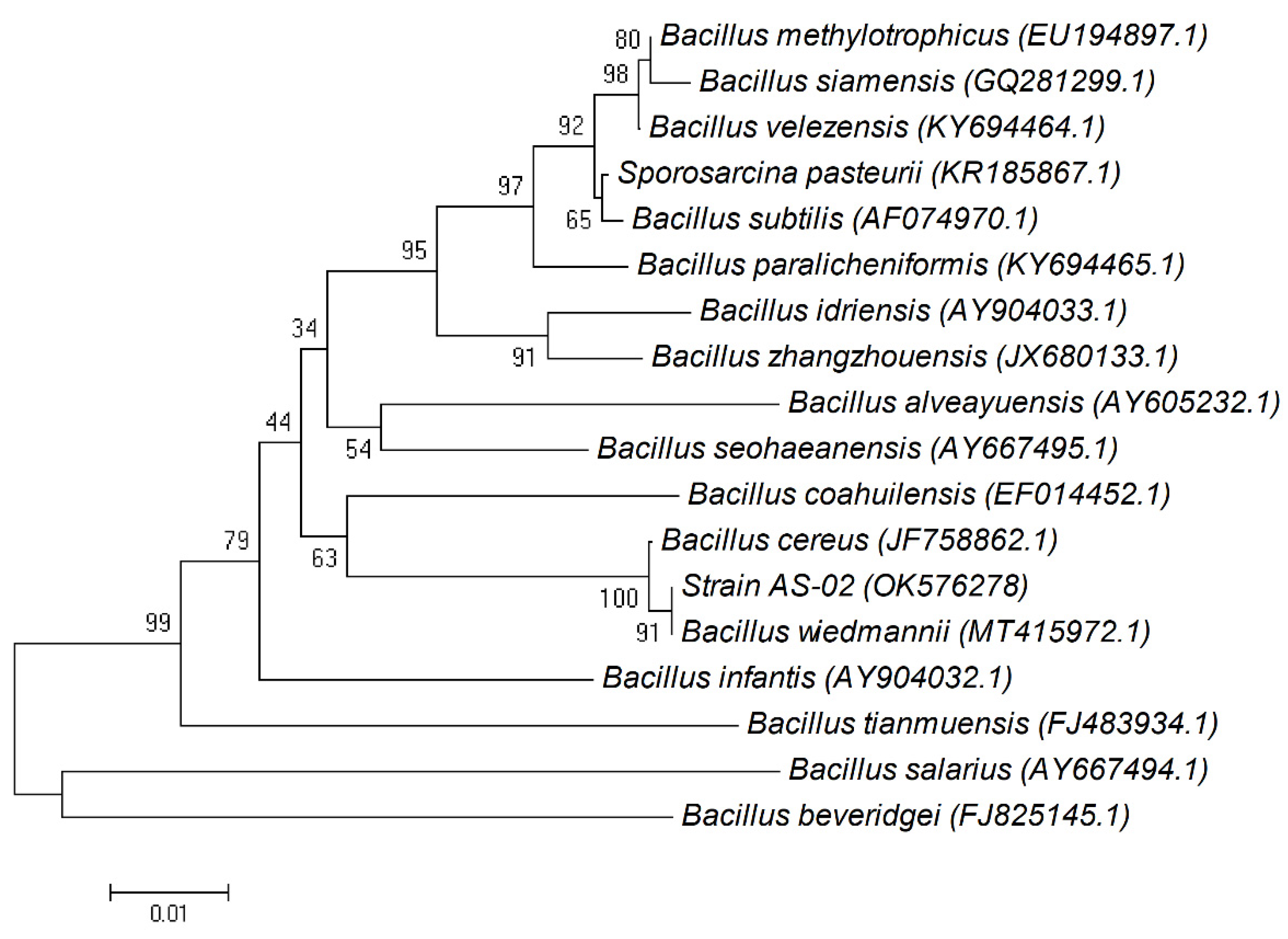Microorganisms 09 02395 g002