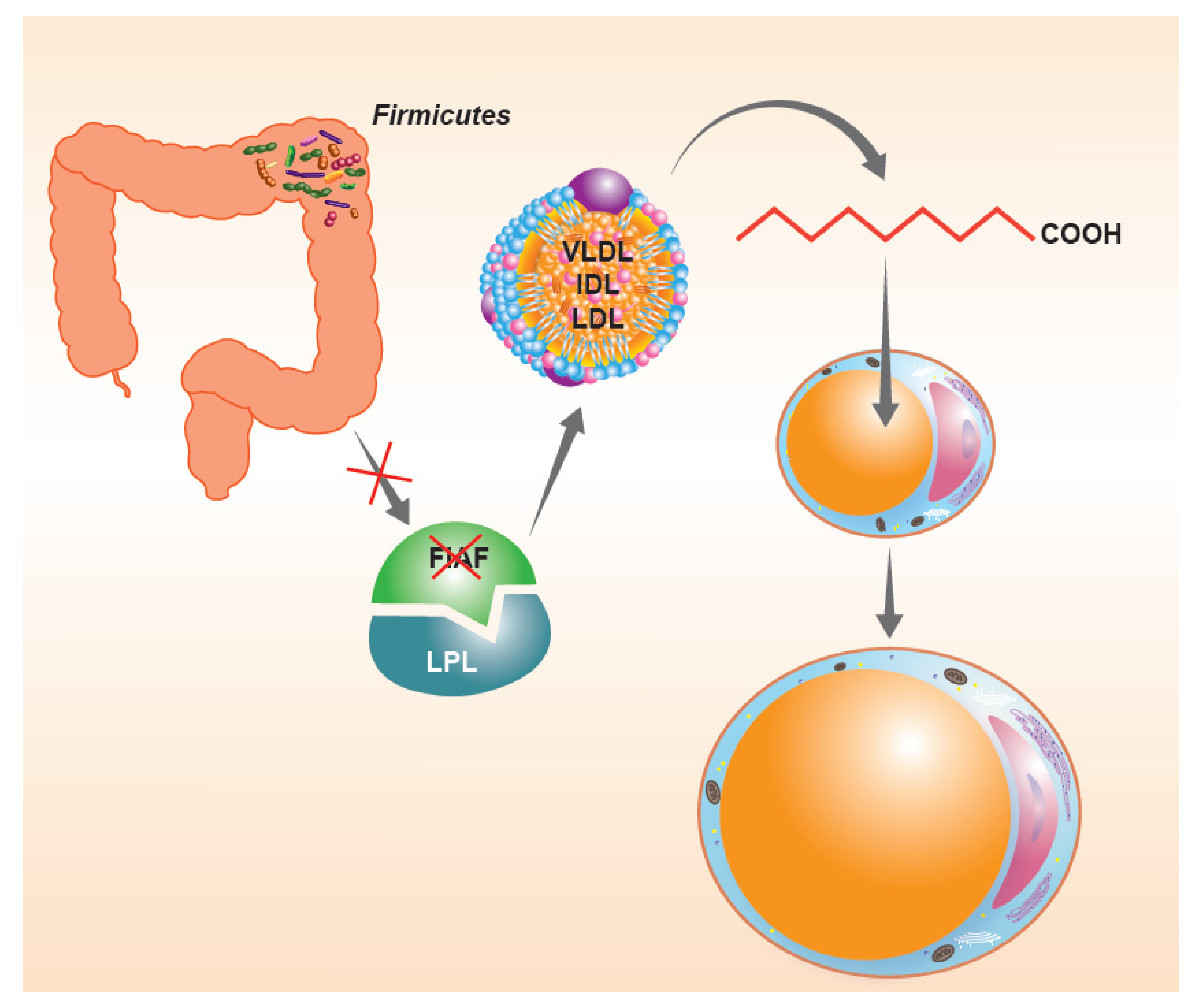 Microorganisms 09 02402 g002