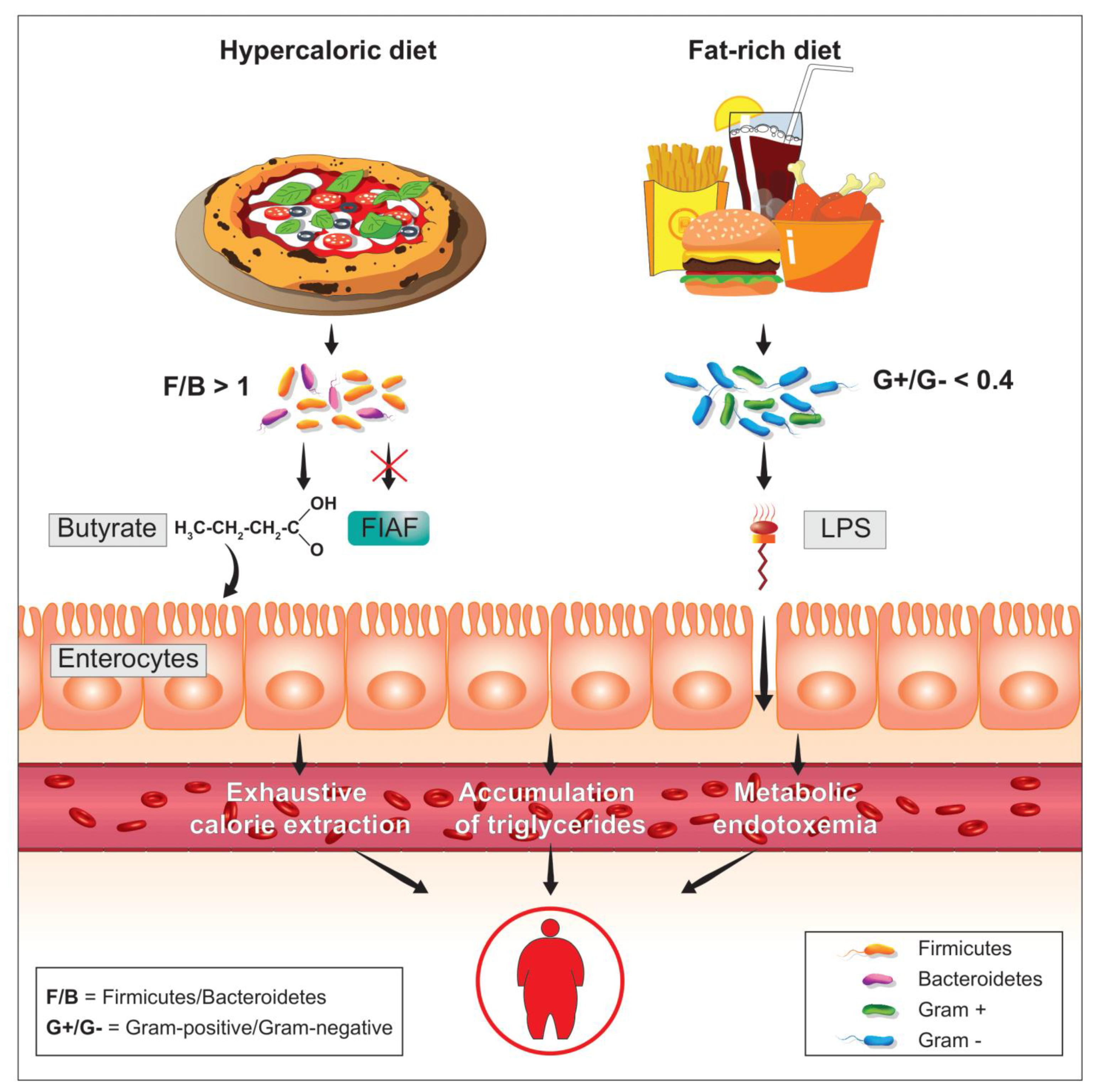 Microorganisms 09 02402 g003