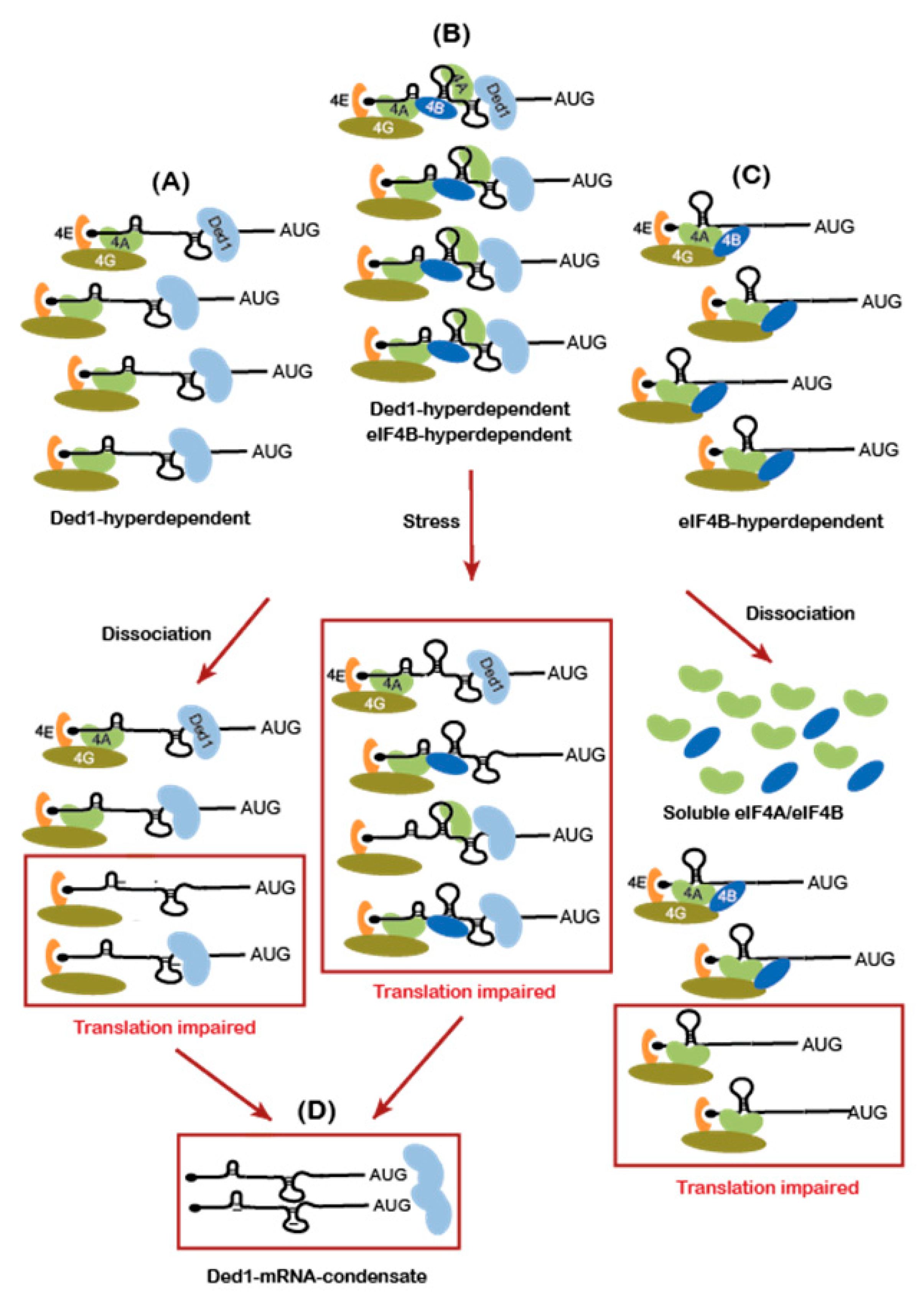 Microorganisms 09 02413 g006