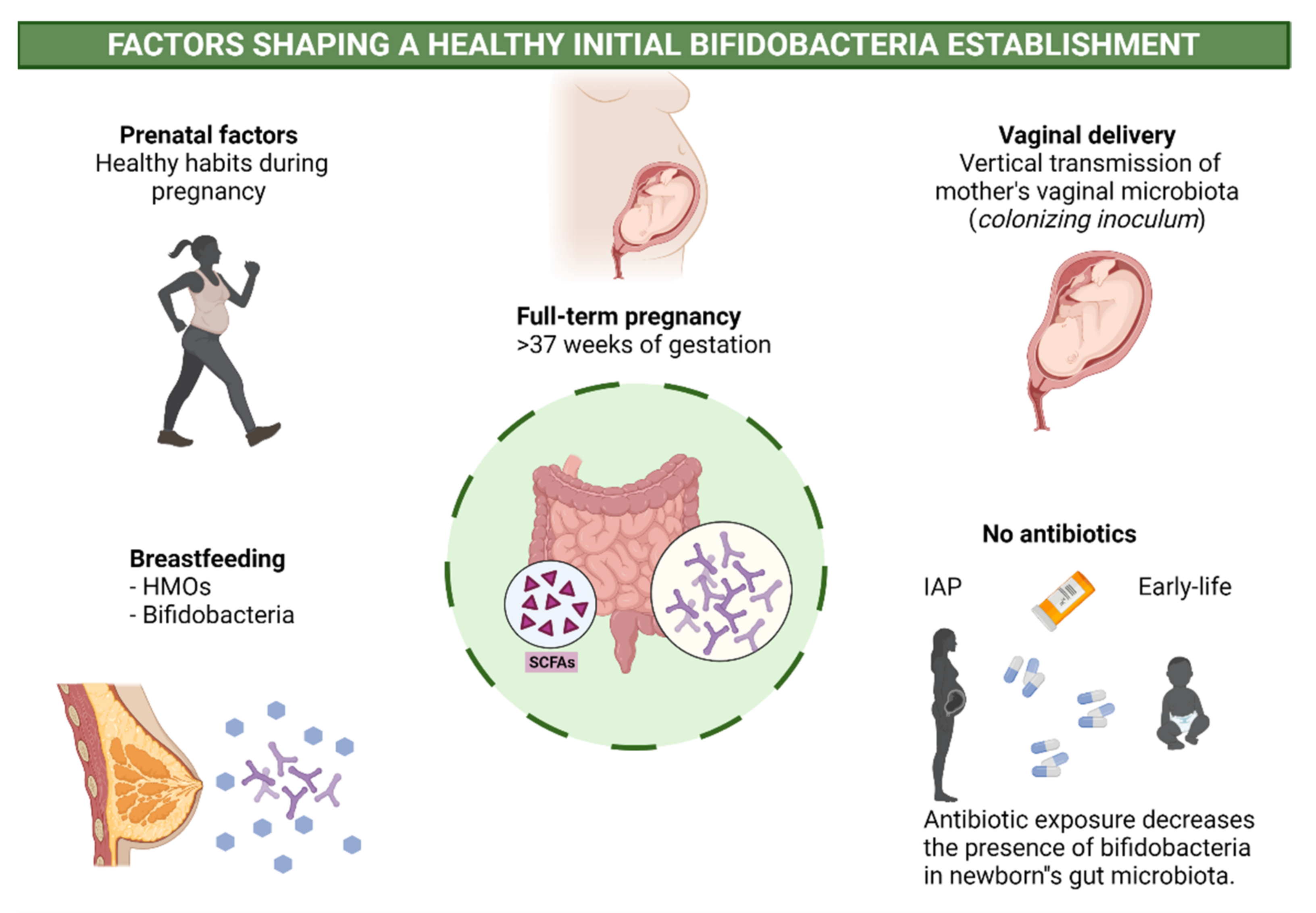 Microorganisms 09 02415 g001