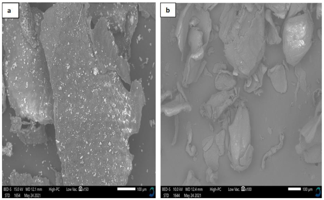 Microorganisms 09 02417 g004