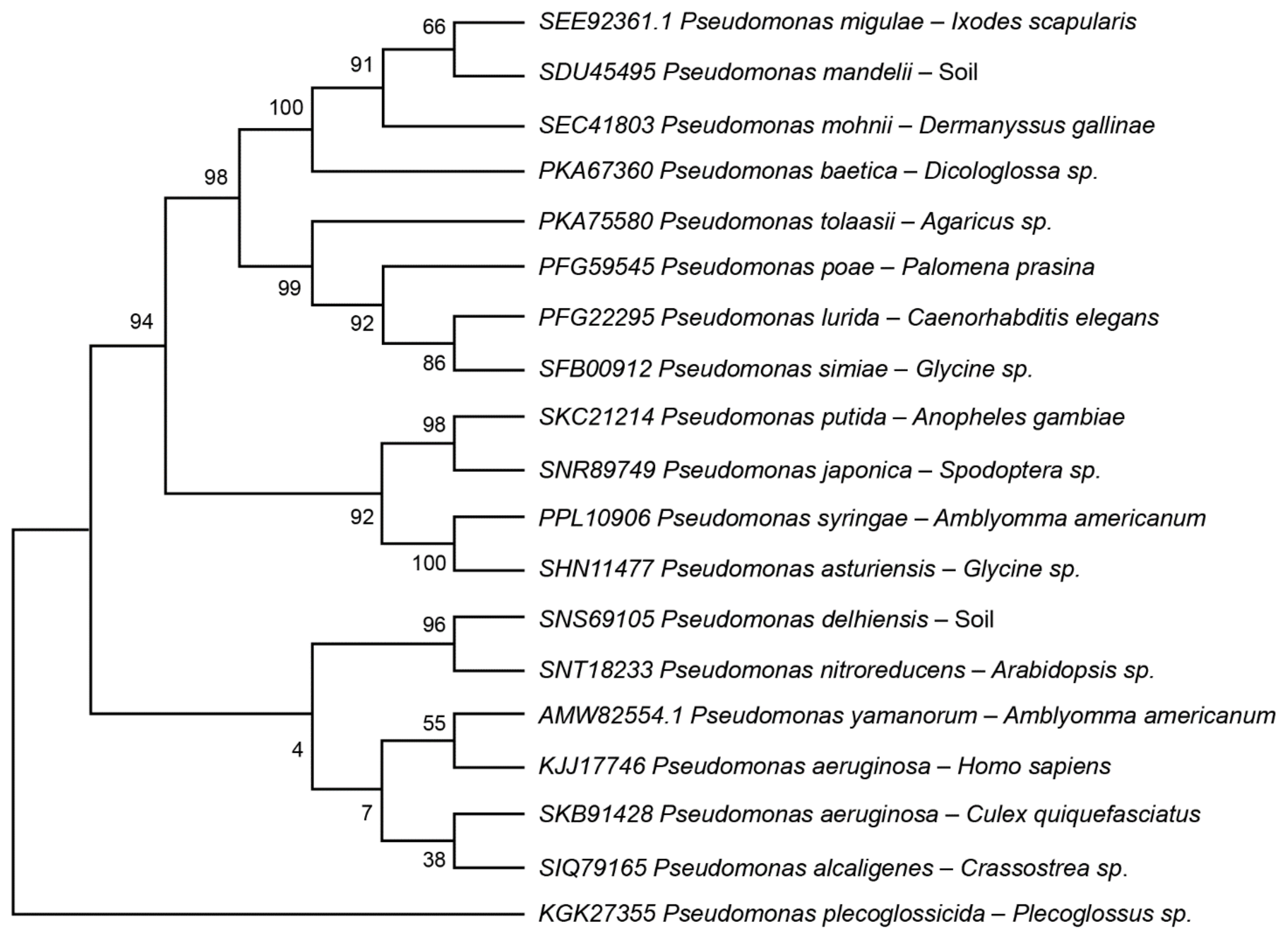 Microorganisms 09 02433 g002