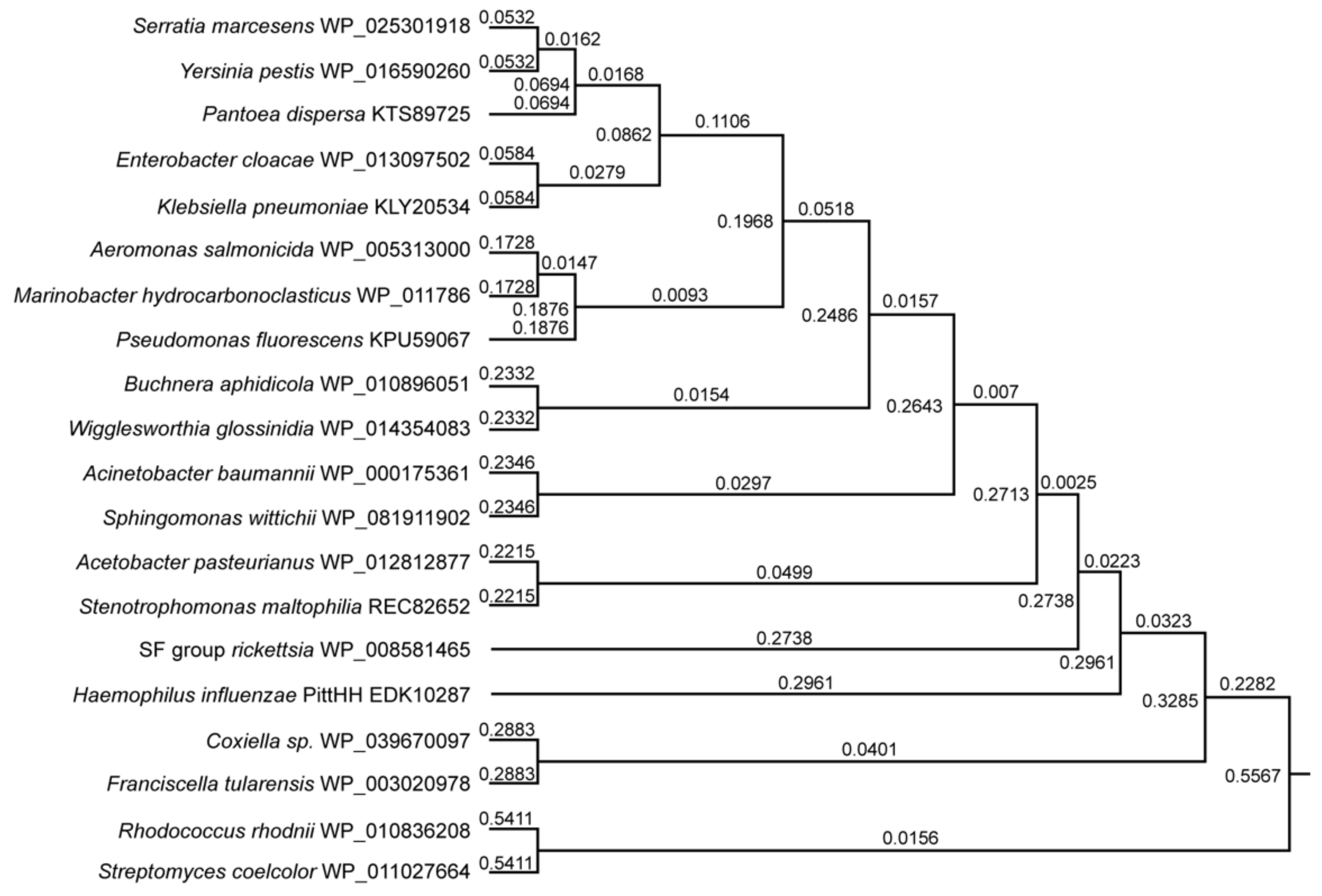 Microorganisms 09 02433 g004