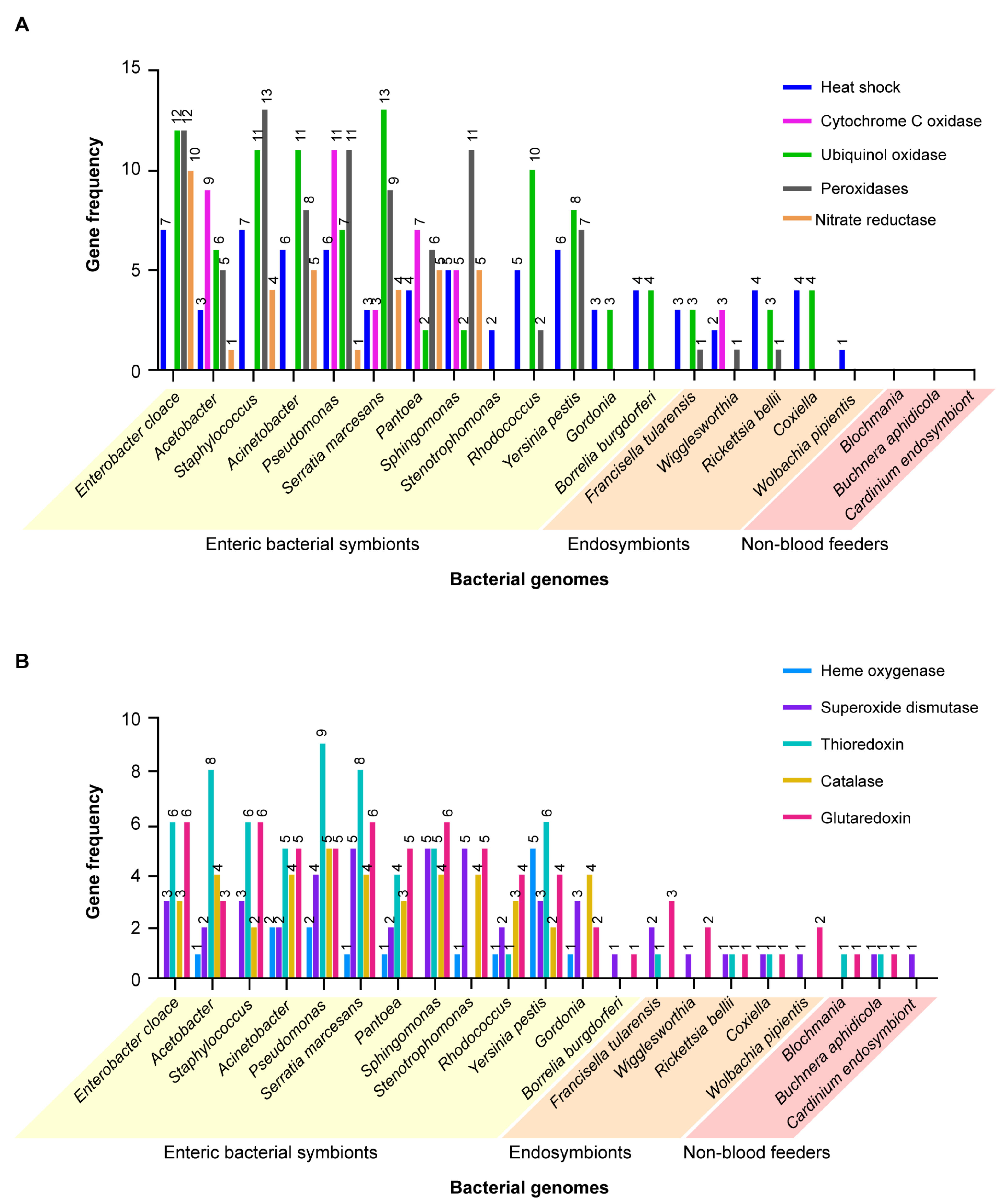 Microorganisms 09 02433 g006