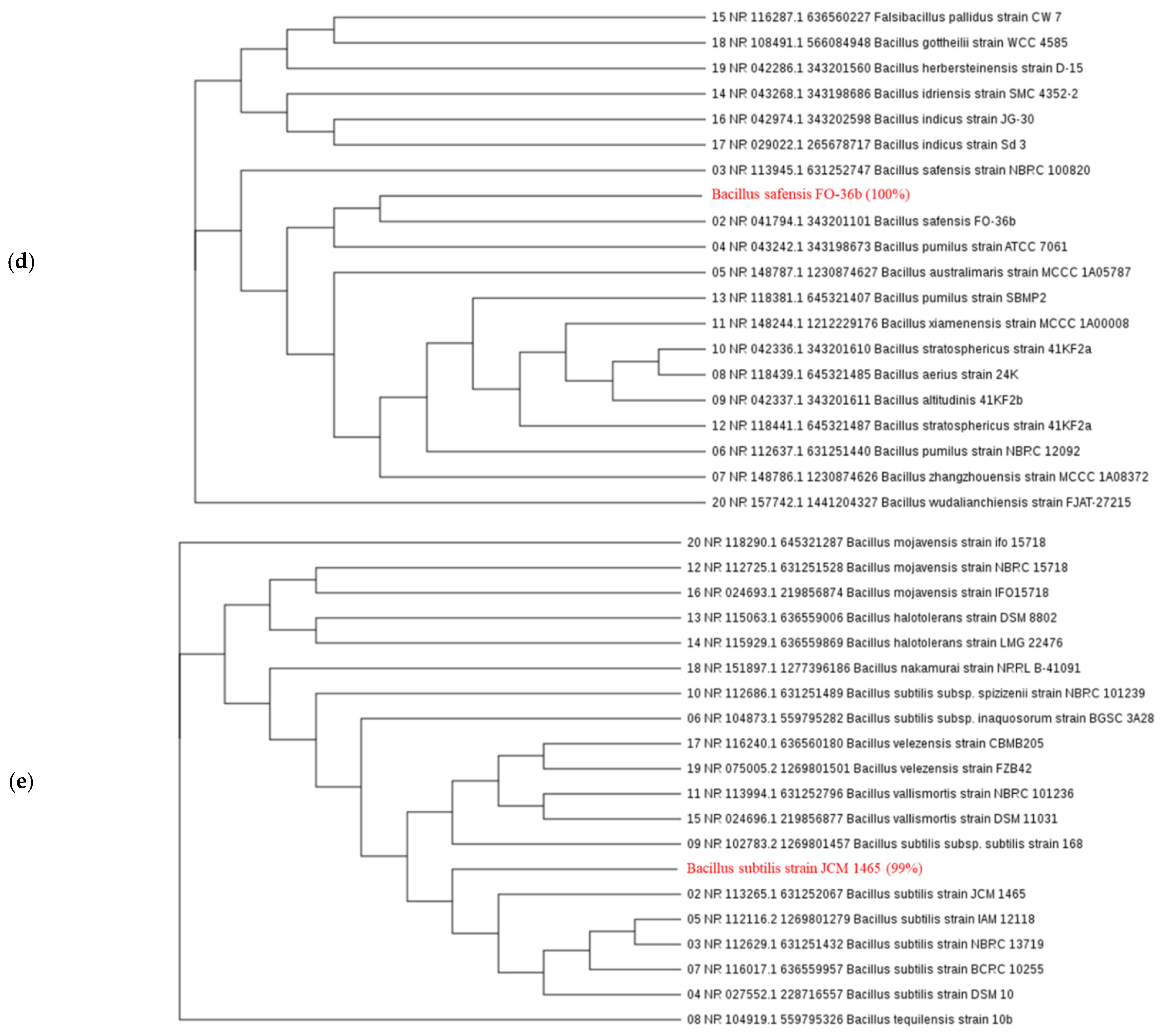 Microorganisms 09 02441 g001b Microorganisms 09 02441 g001b