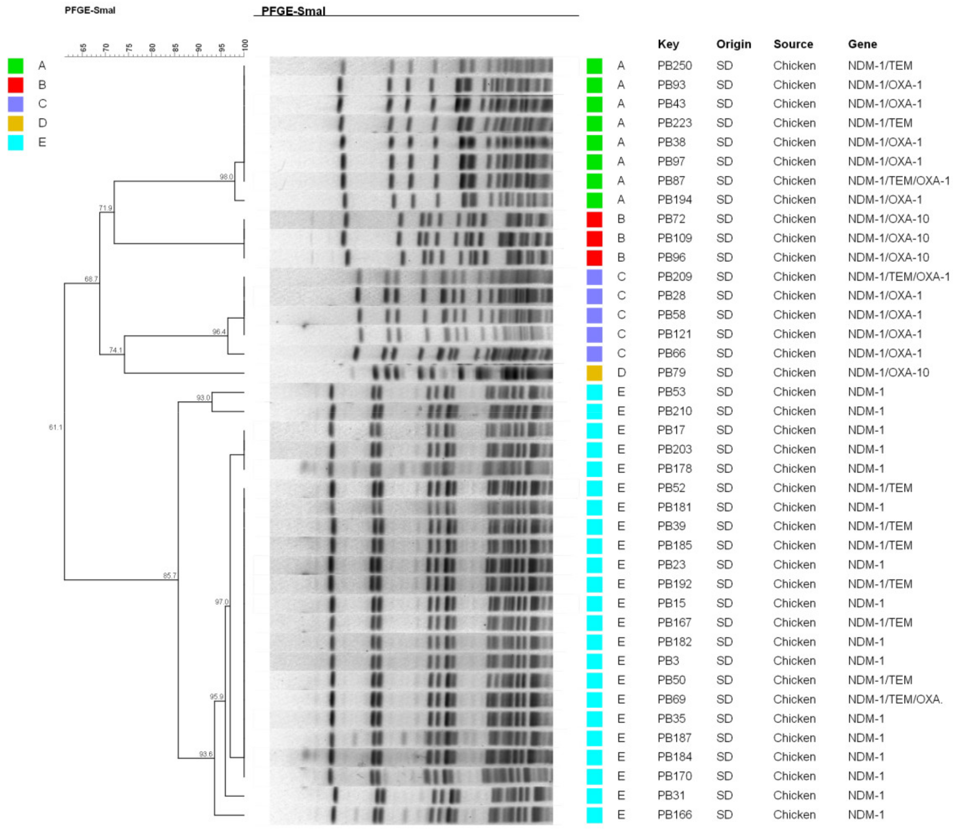 Microorganisms 09 02443 g003 Microorganisms 09 02443 g003