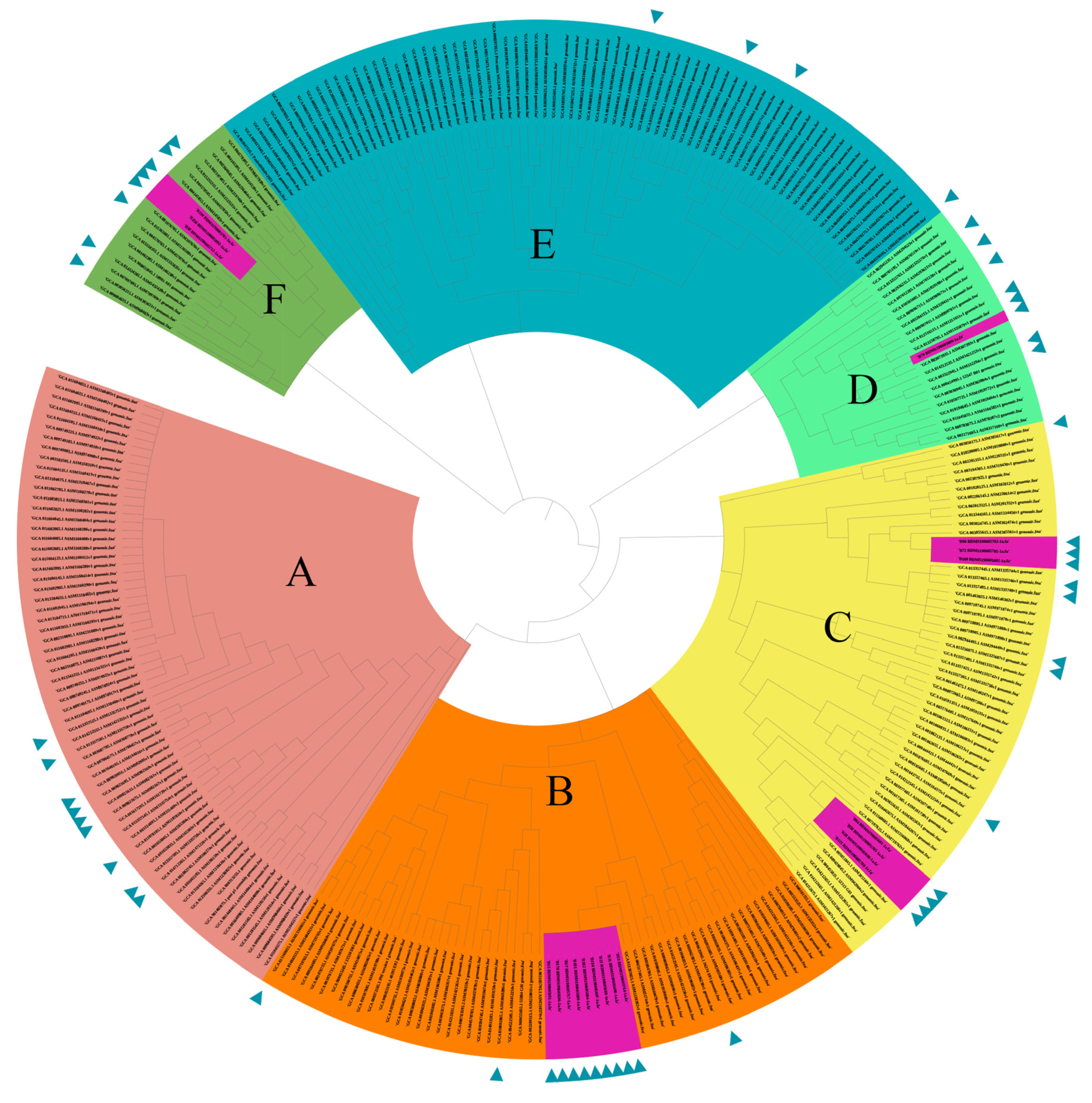 Microorganisms 09 02443 g004 Microorganisms 09 02443 g004