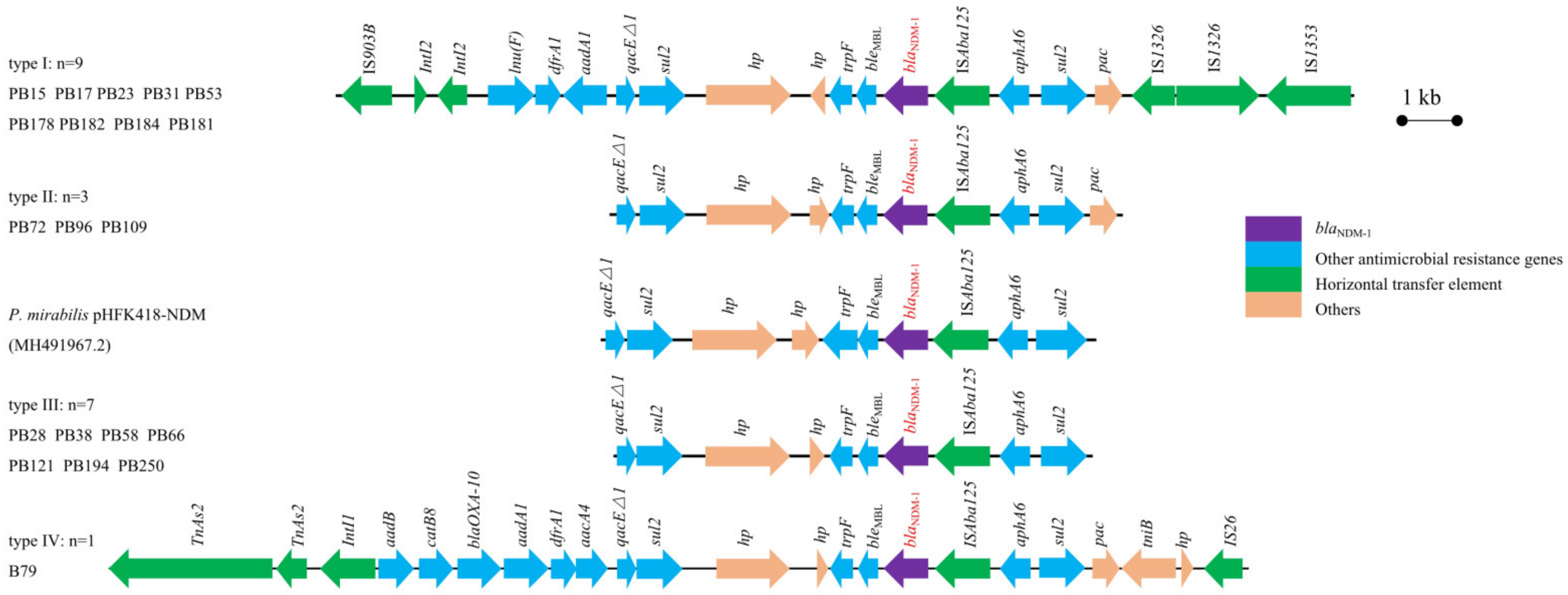 Microorganisms 09 02443 g006 Microorganisms 09 02443 g006