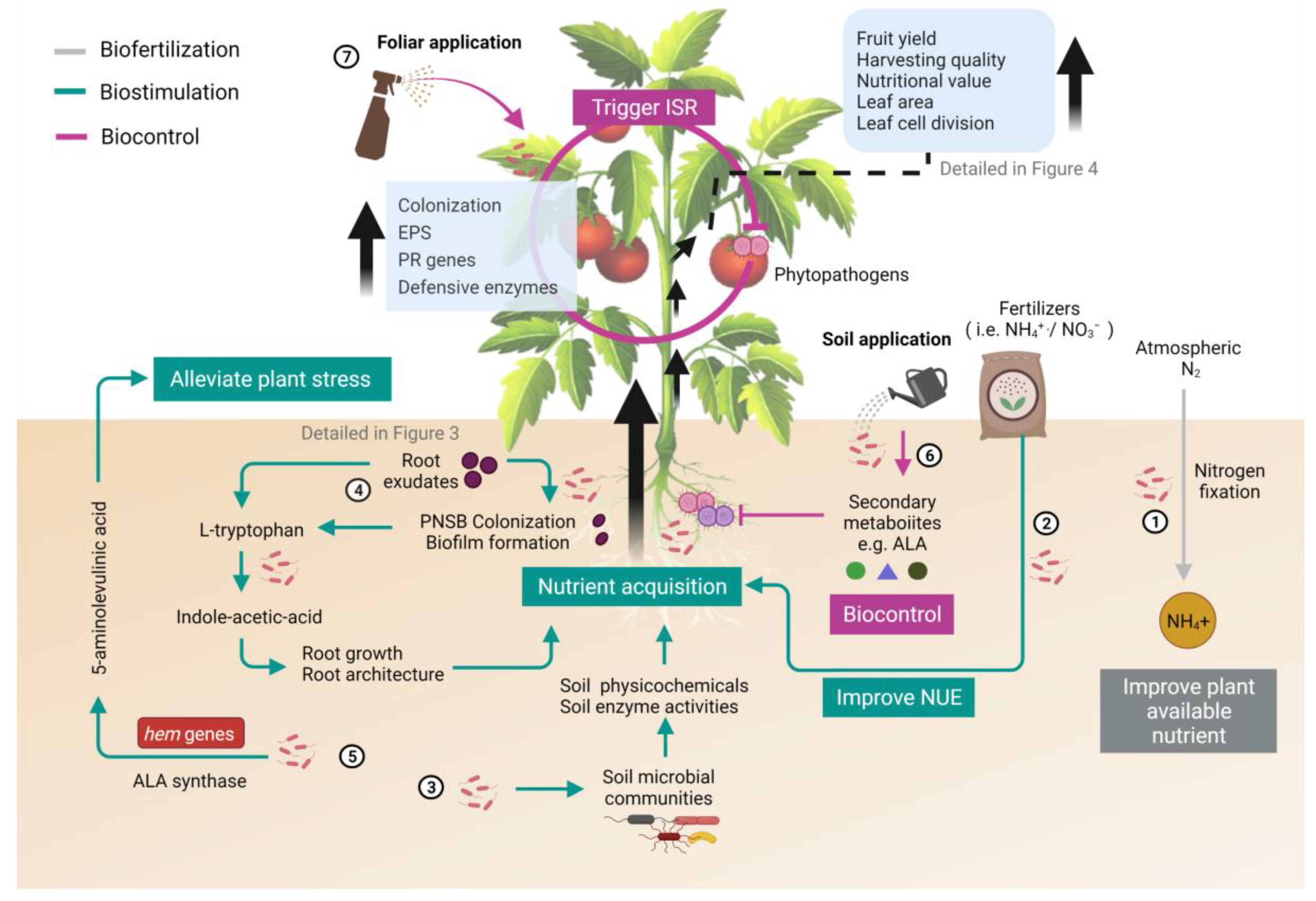 Microorganisms 09 02453 g001 Microorganisms 09 02453 g001