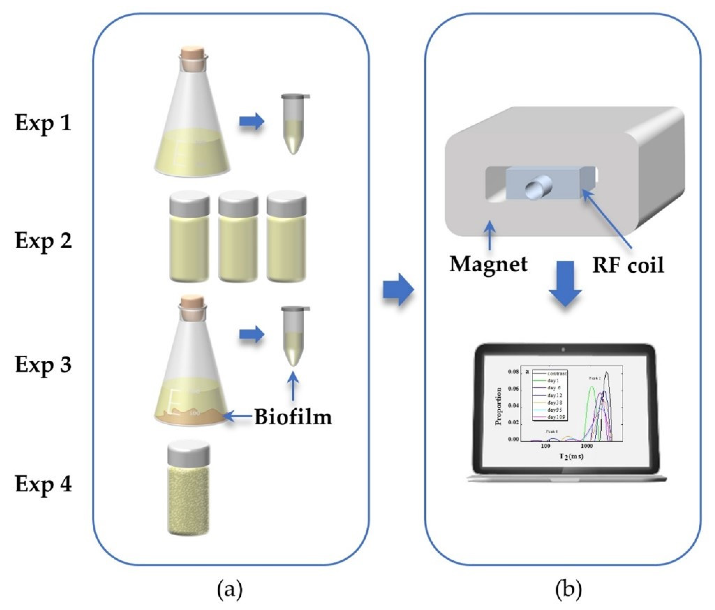 Microorganisms 09 02466 g001